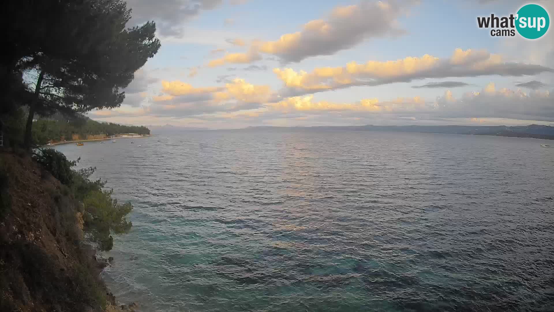 Webcam Potočine Beach Bol – Live View of Borak Beach, Brač Island