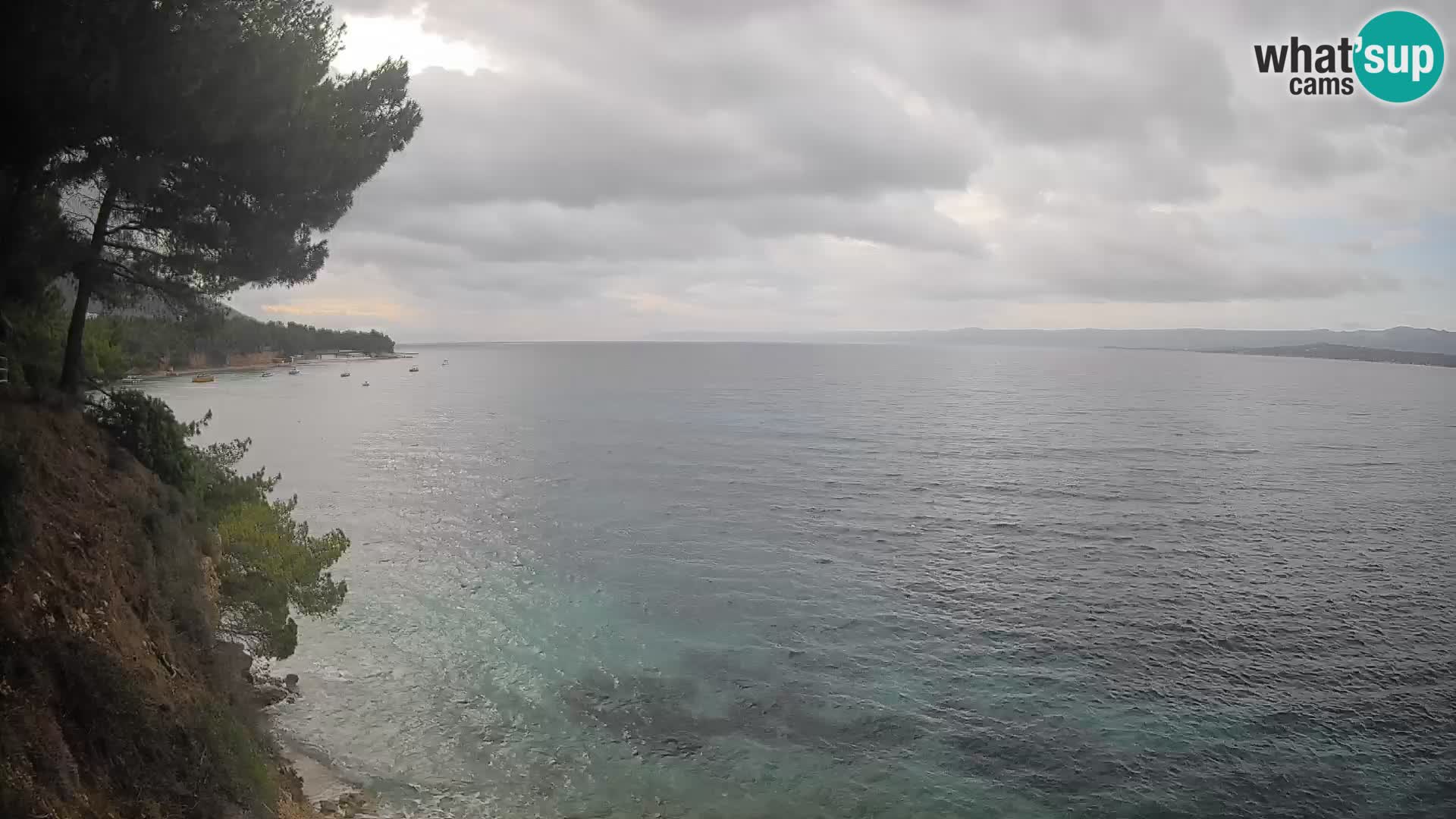 Webcam Potočine Beach Bol – Live View of Borak Beach, Brač Island
