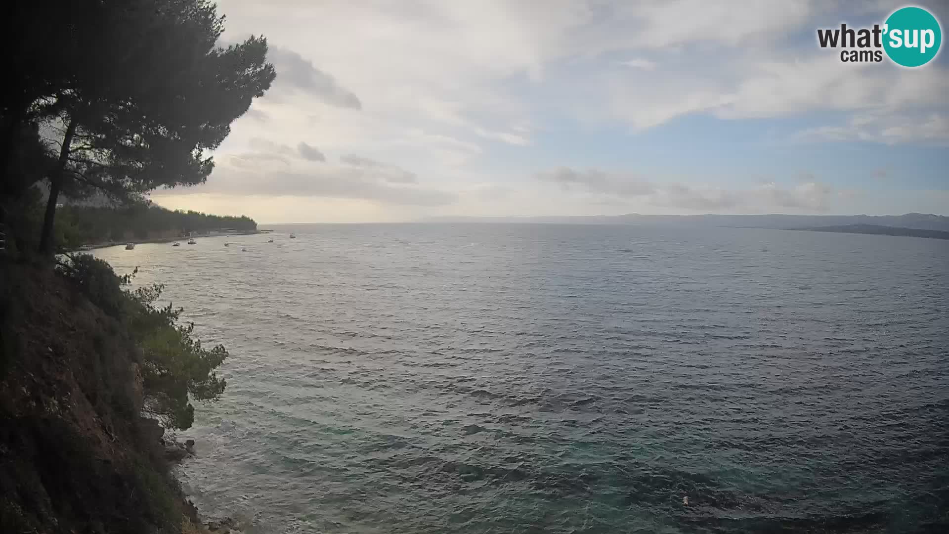 Webcam Playa Potočine Bol – Vista en vivo de Borak Beach, Isla de Brač