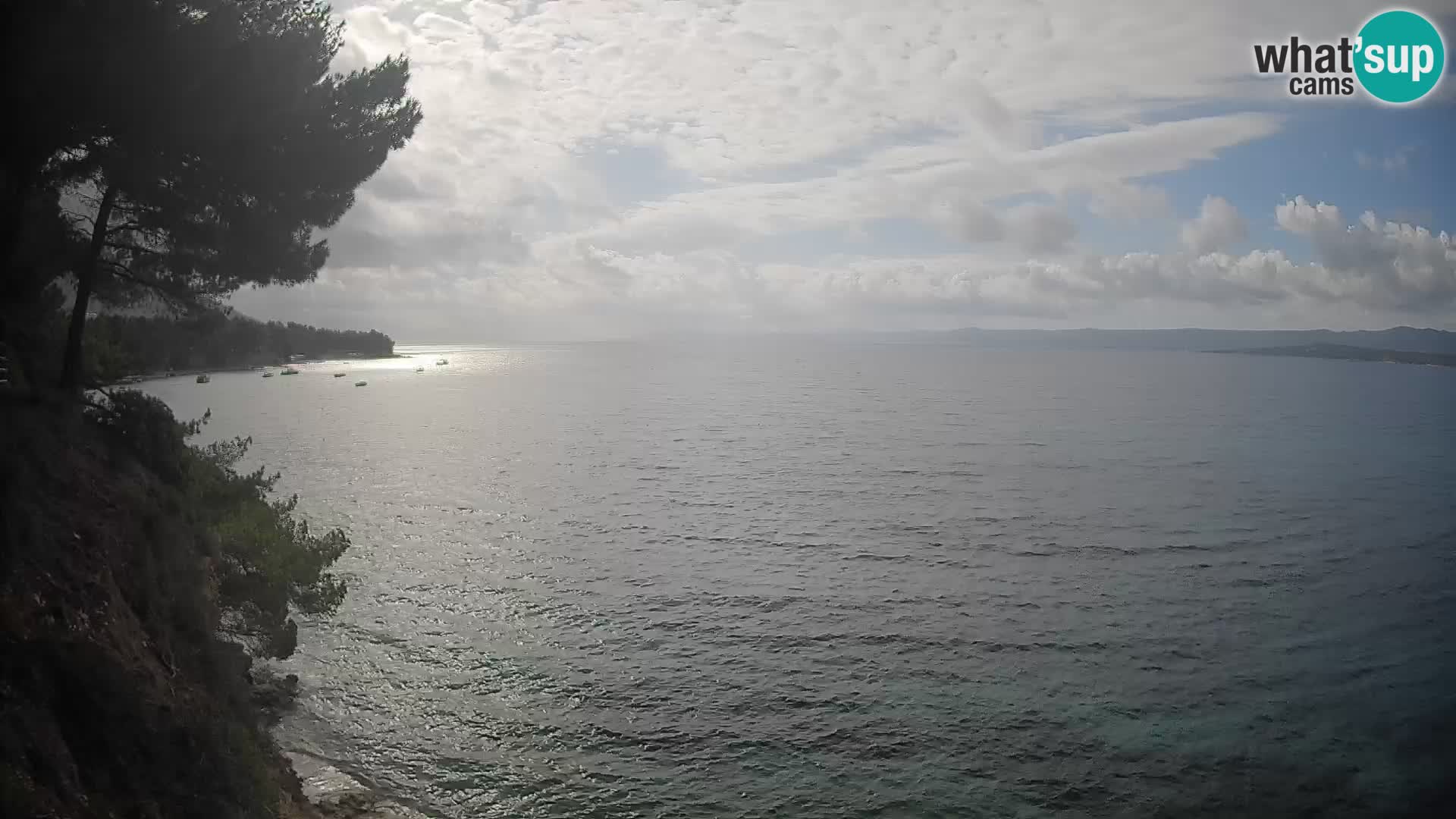 Webcam plage Potočine Bol – Vue en direct sur Borak Beach, île de Brač