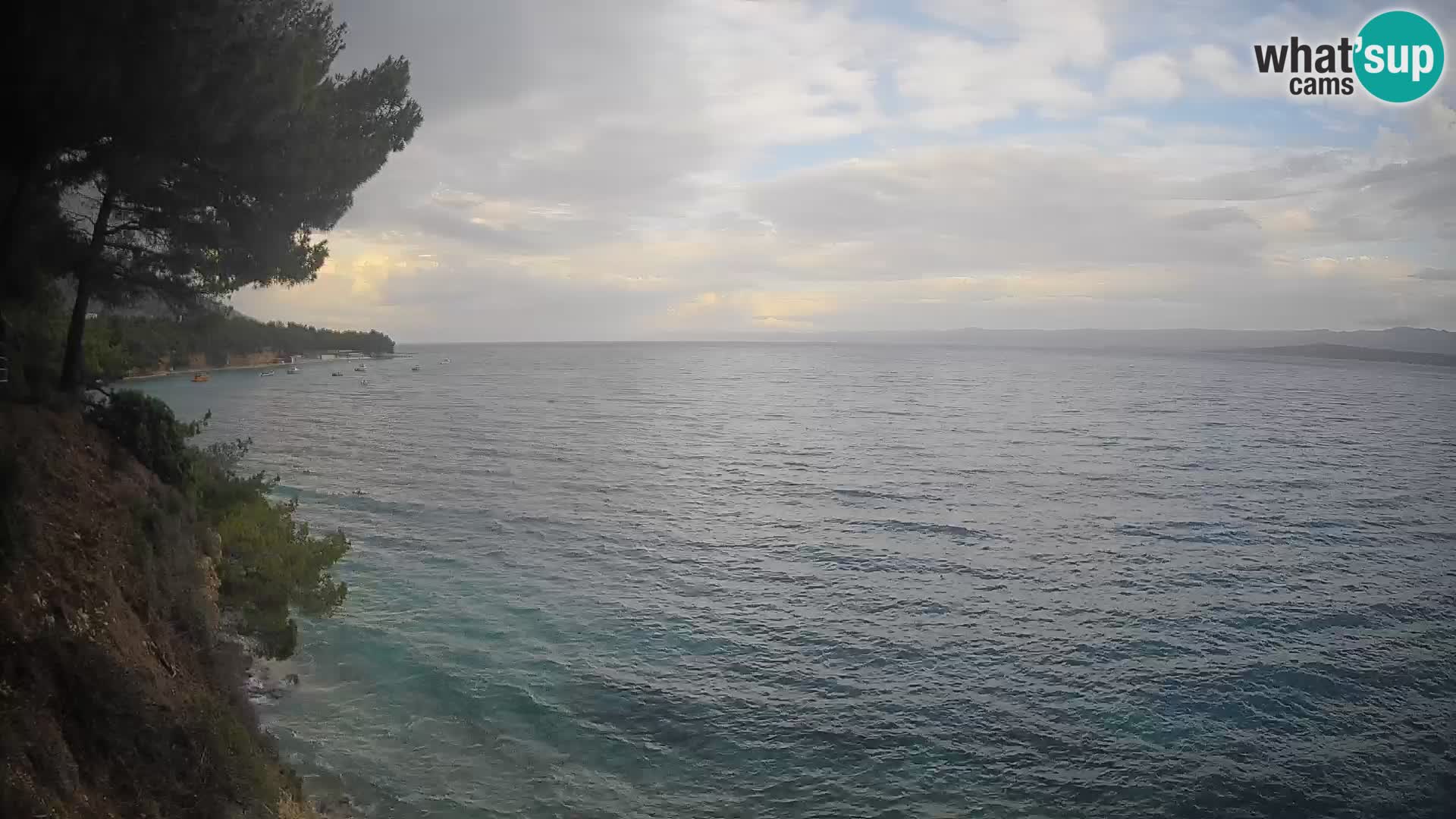 Webcam Potočine Beach Bol – Live View of Borak Beach, Brač Island