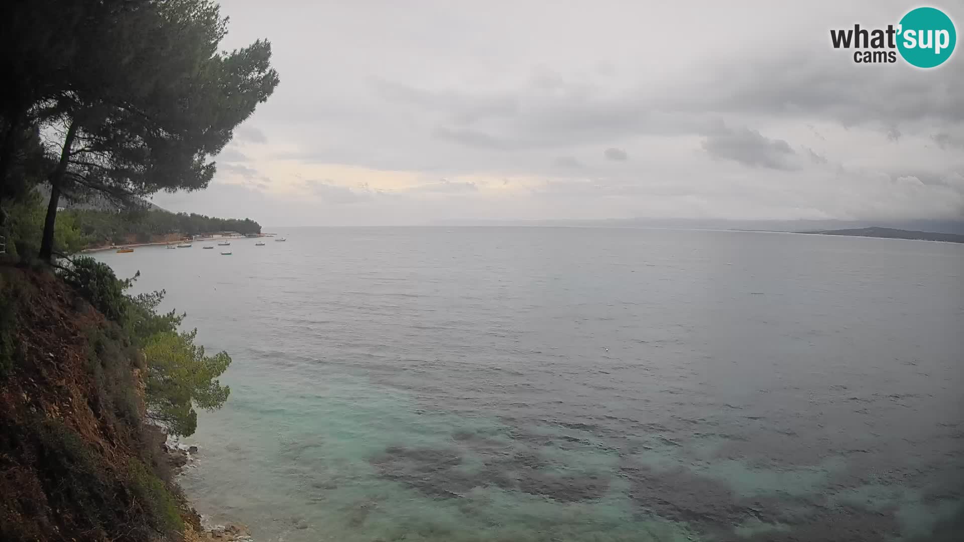 Webcam Potočine Beach Bol – Live View of Borak Beach, Brač Island