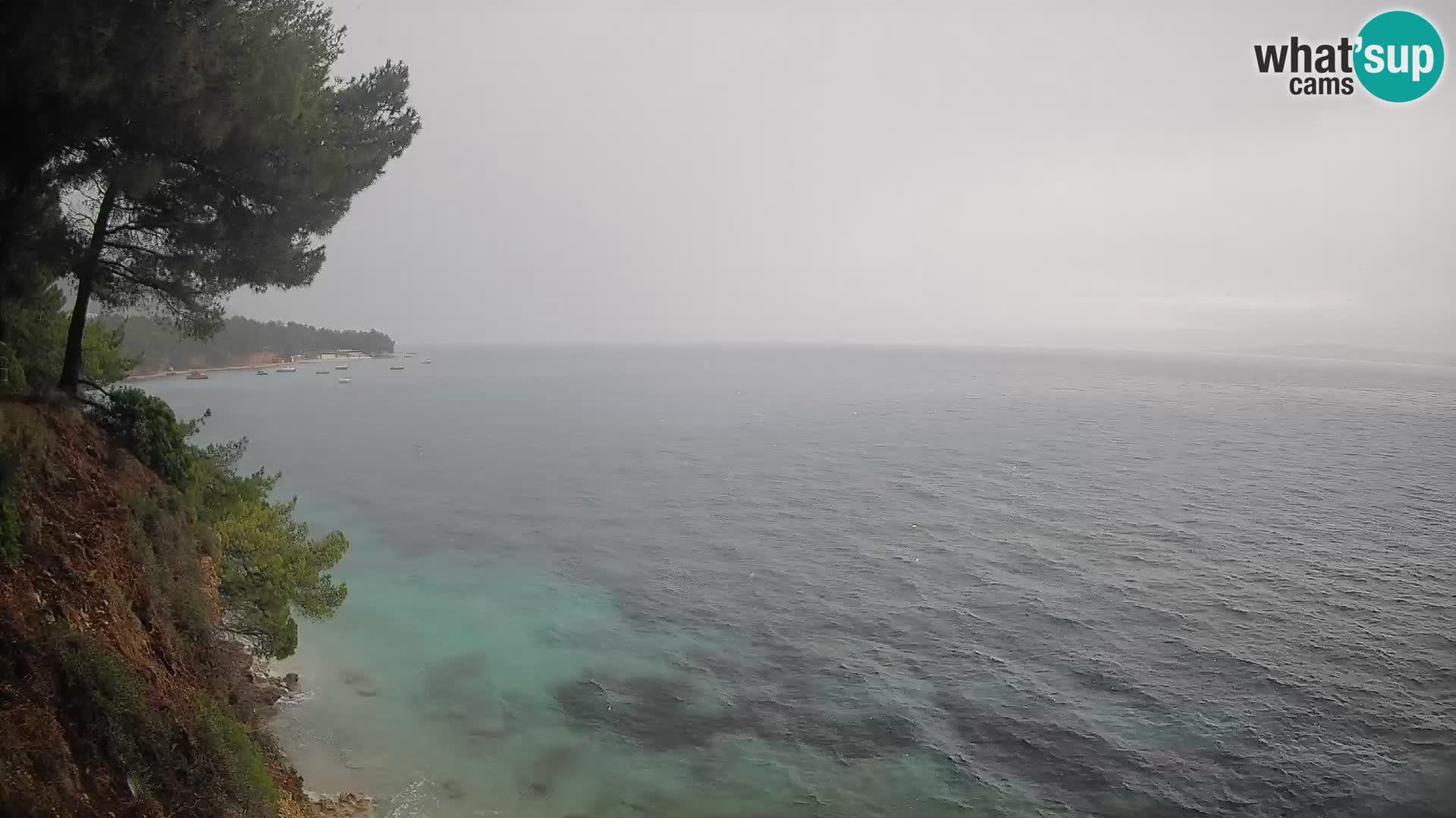 Webcam Potočine Beach Bol – Live View of Borak Beach, Brač Island