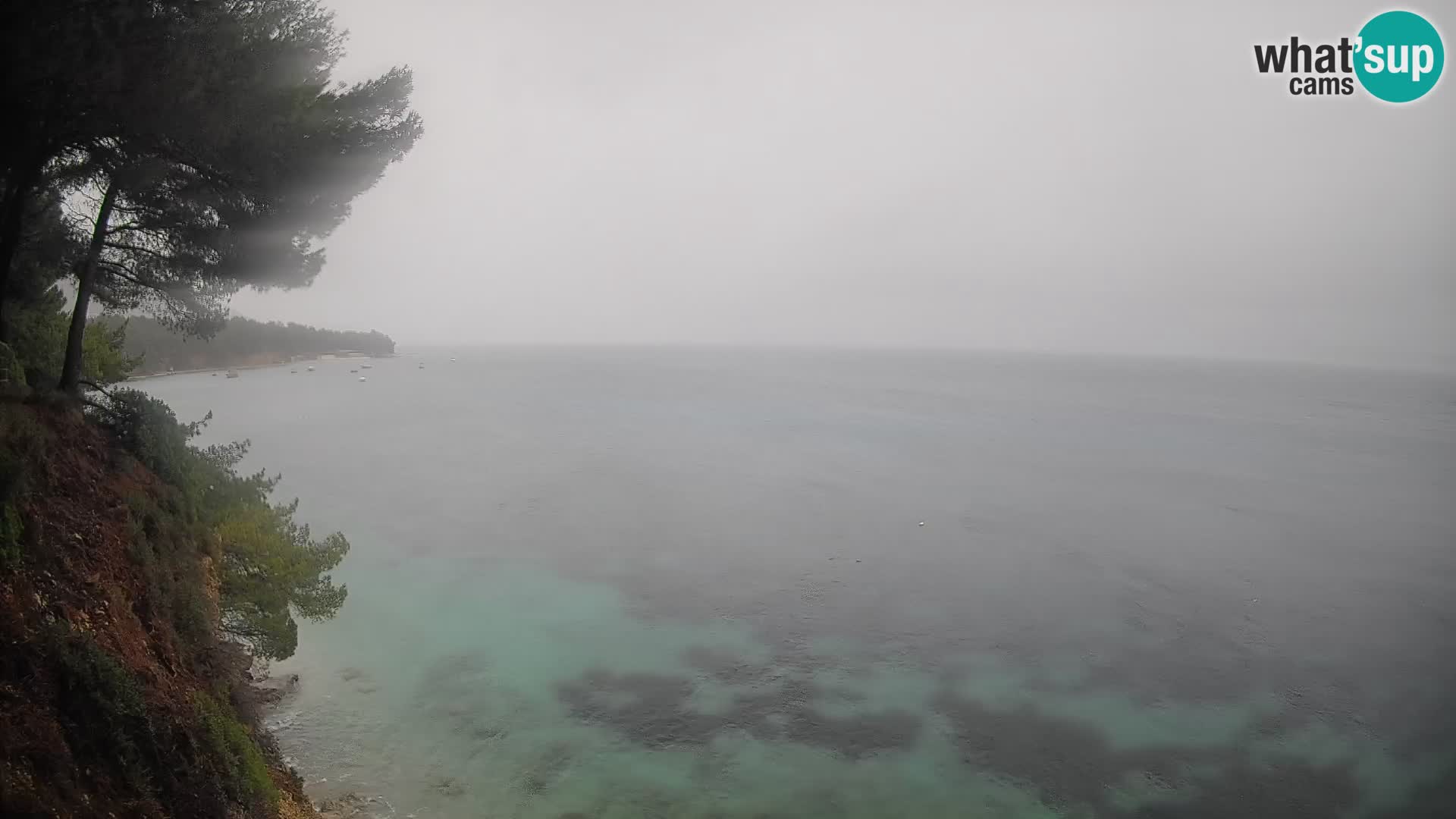Spletna kamera Plaža Potočine Bol – Pogled v živo na plažo Borak, otok Brač