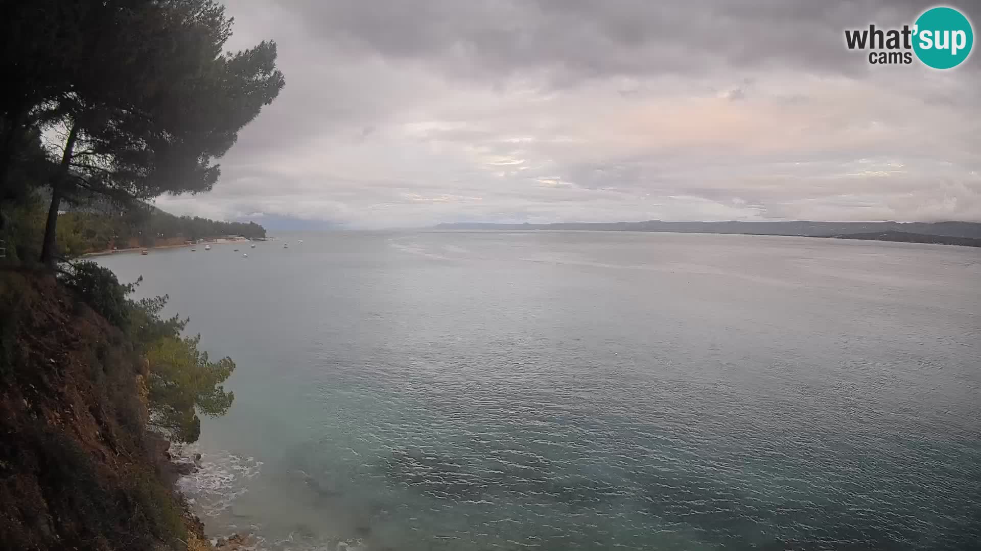Webcam Potočine Beach Bol – Live View of Borak Beach, Brač Island