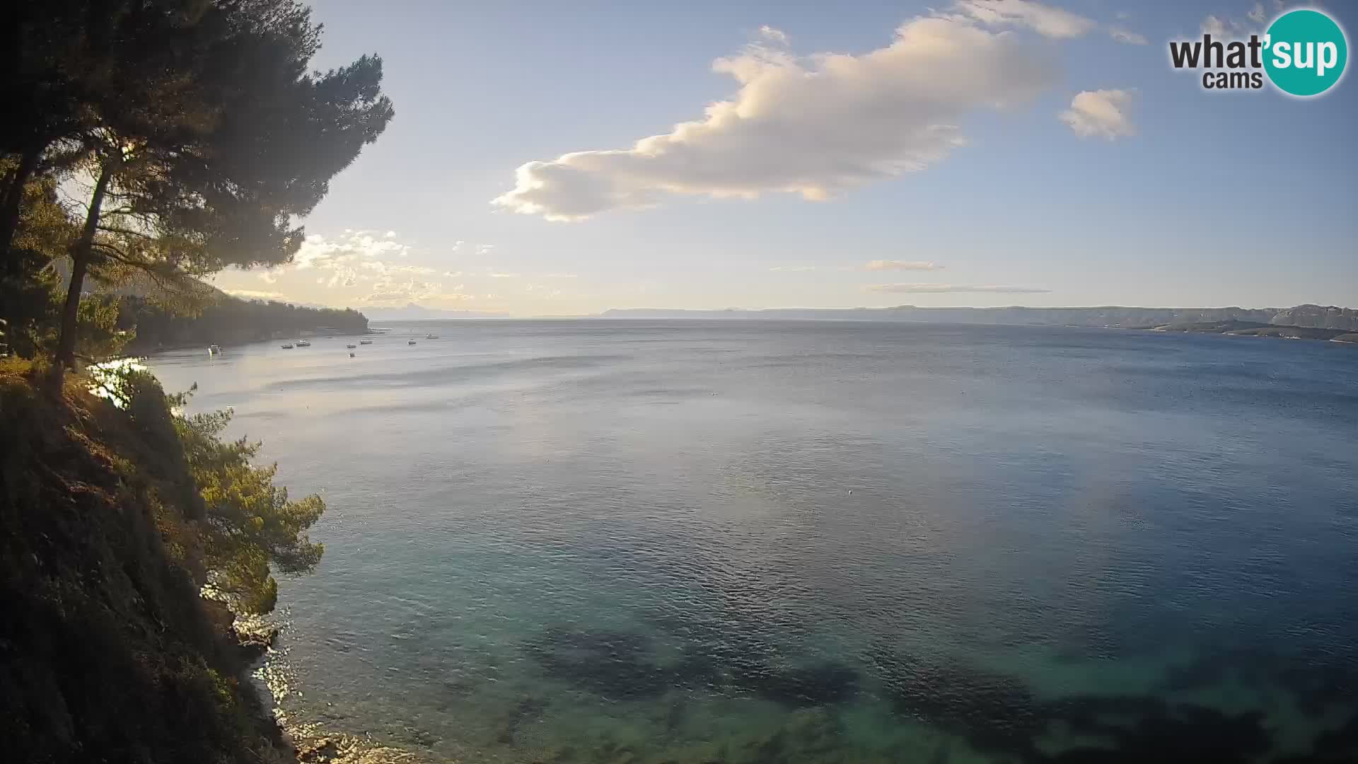 Webcam Potočine Beach Bol – Live View of Borak Beach, Brač Island
