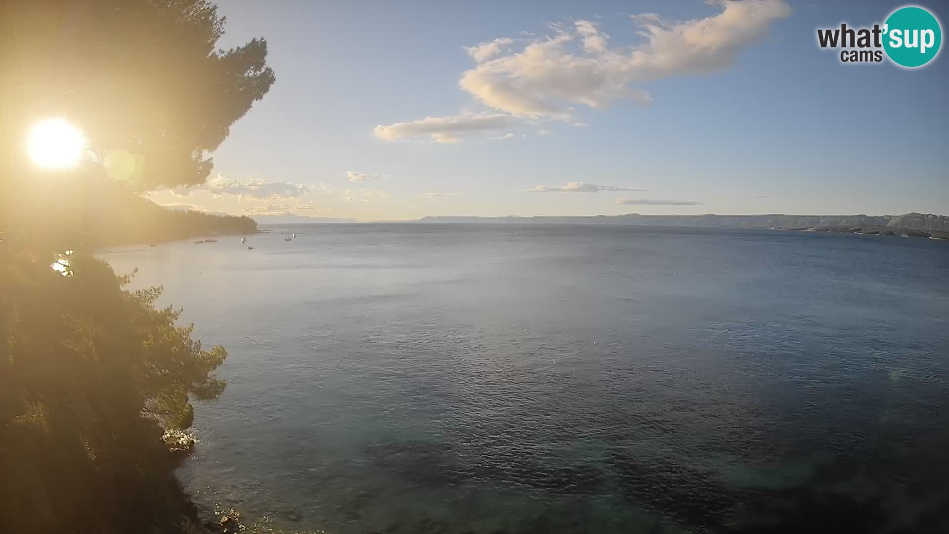 Webcam Potočine Beach Bol – Live View of Borak Beach, Brač Island