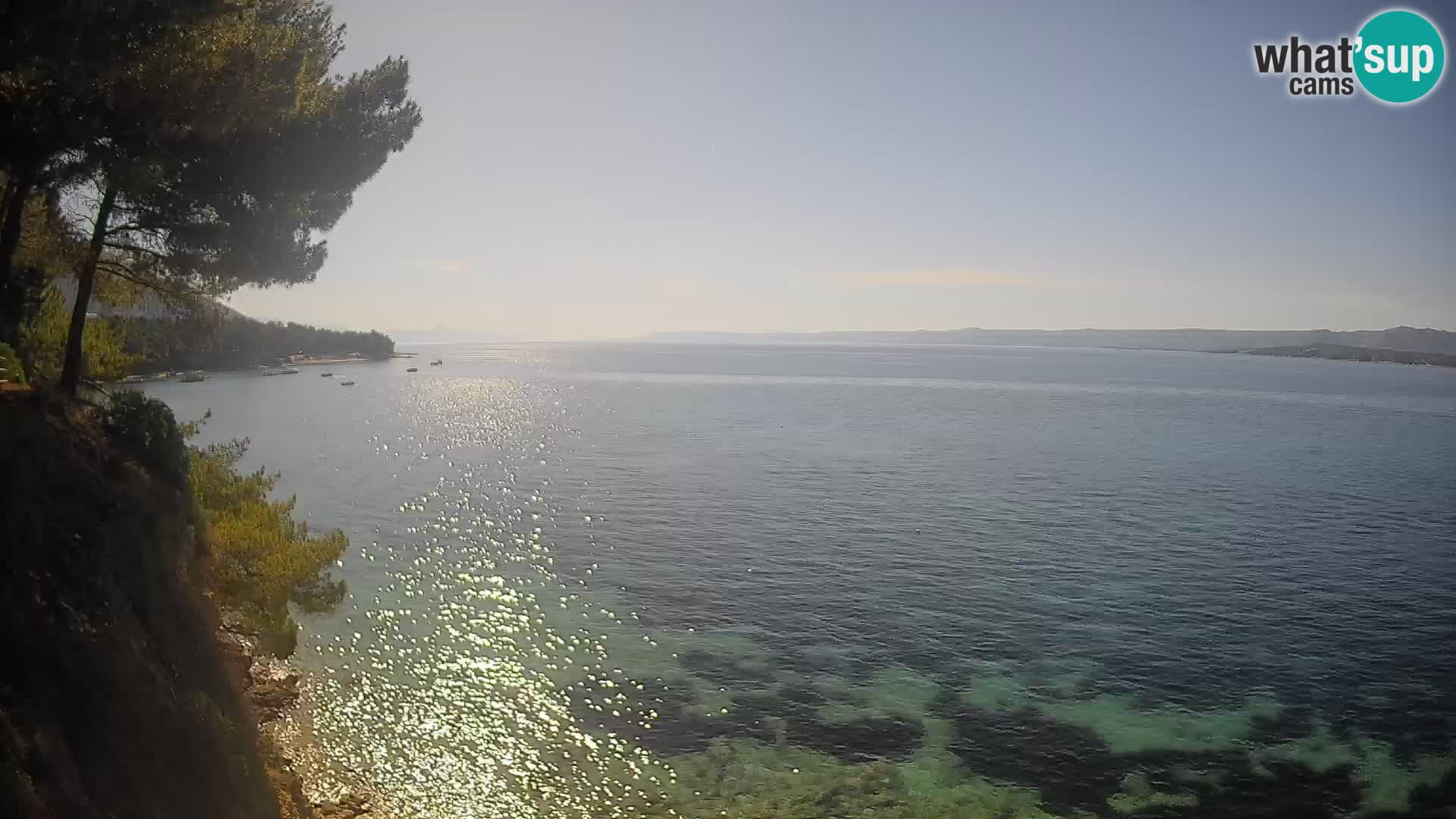 Webcam Potočine Beach Bol – Live View of Borak Beach, Brač Island
