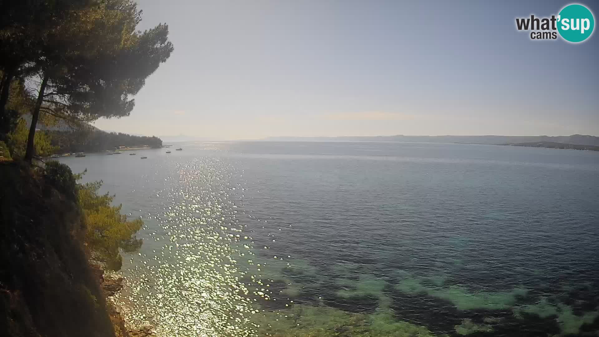 Webcam plage Potočine Bol – Vue en direct sur Borak Beach, île de Brač