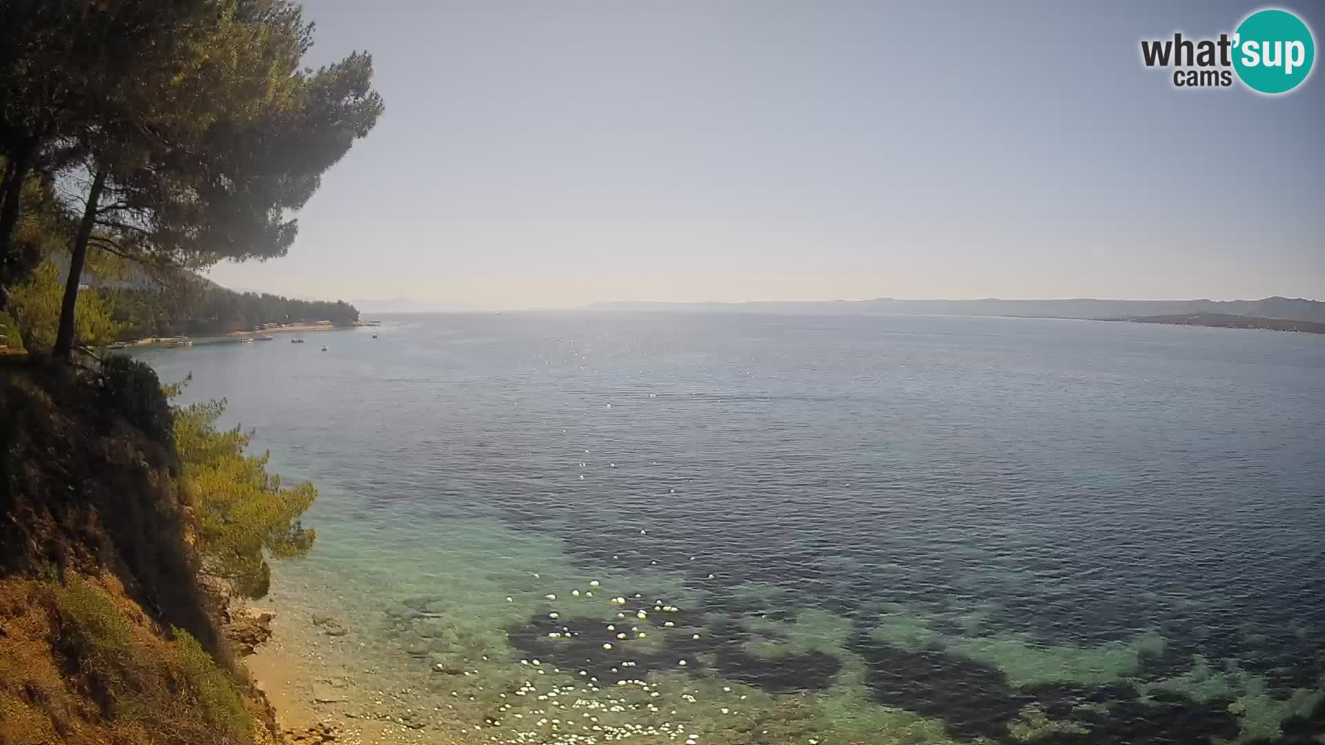 Webcam Potočine Beach Bol – Live View of Borak Beach, Brač Island