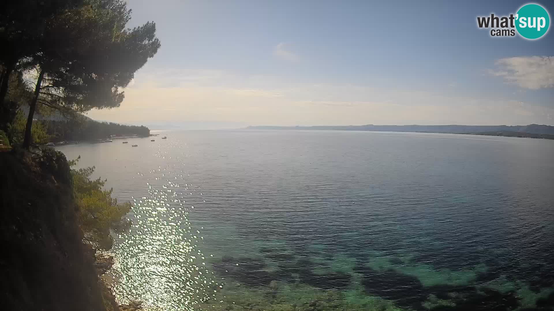 Webcam Potočine Beach Bol – Live View of Borak Beach, Brač Island