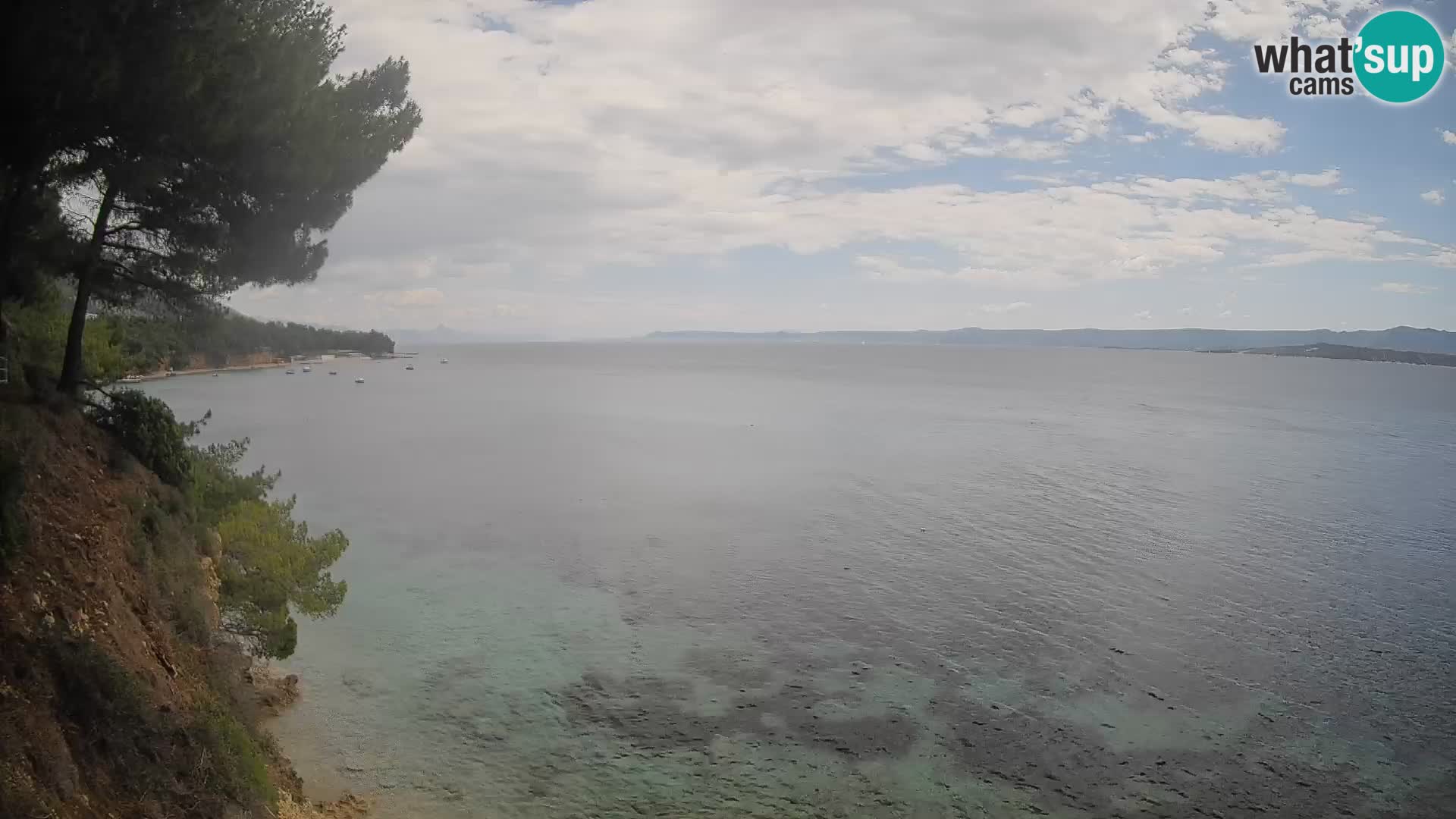 Webcam Potočine Beach Bol – Live View of Borak Beach, Brač Island