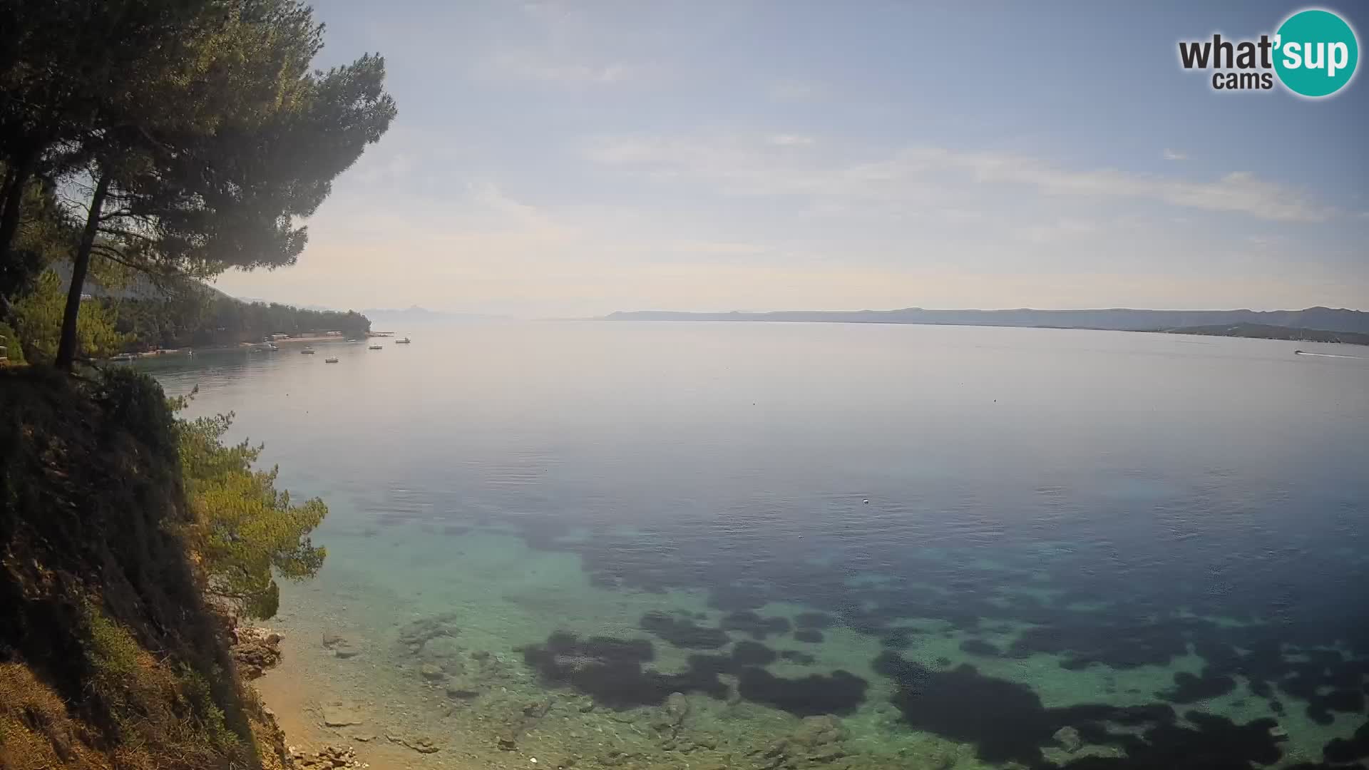 Webcam Playa Potočine Bol – Vista en vivo de Borak Beach, Isla de Brač