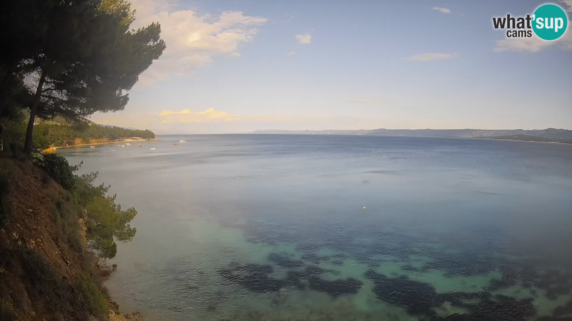 Webcam Potočine Beach Bol – Live View of Borak Beach, Brač Island