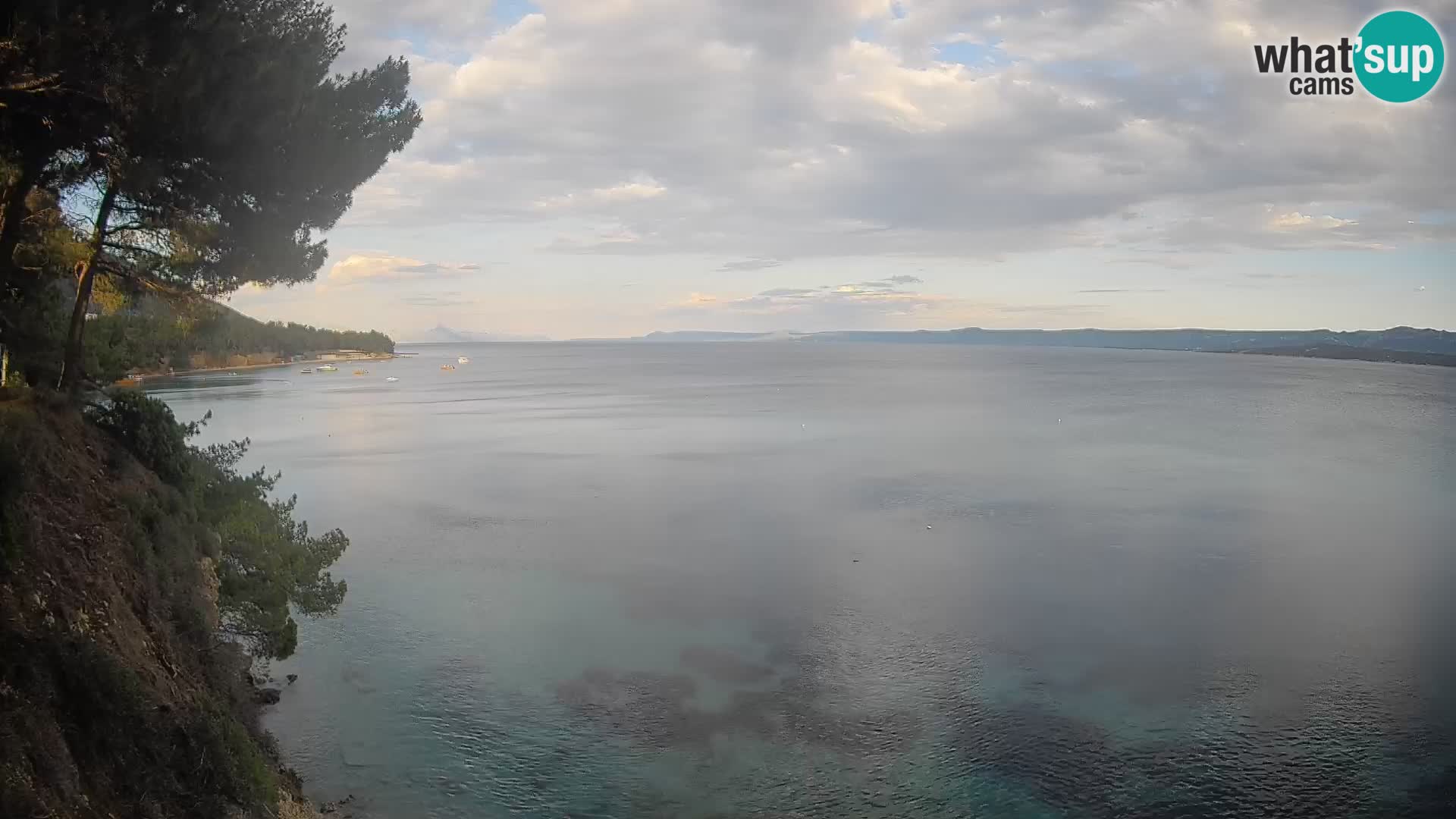Webcam Potočine Beach Bol – Live View of Borak Beach, Brač Island