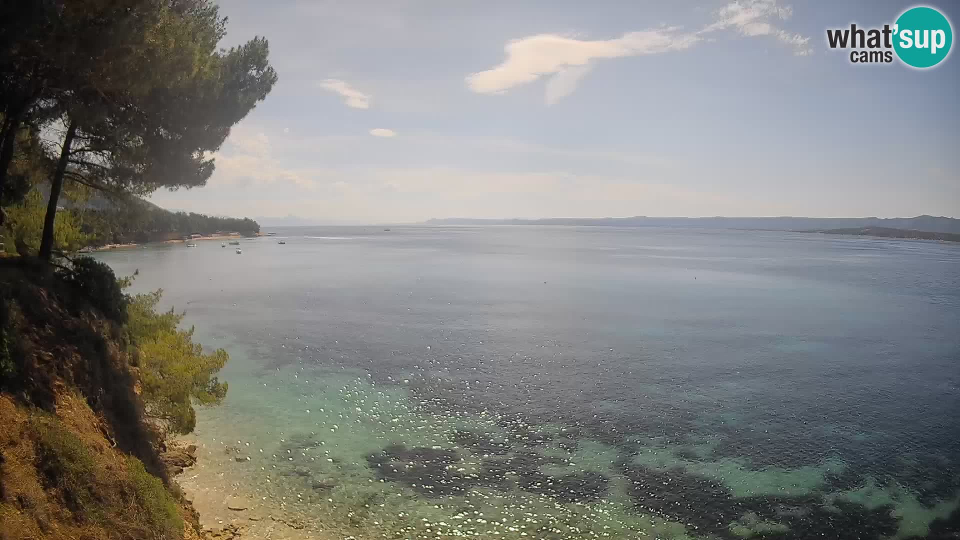 Webcam Potočine Beach Bol – Live View of Borak Beach, Brač Island