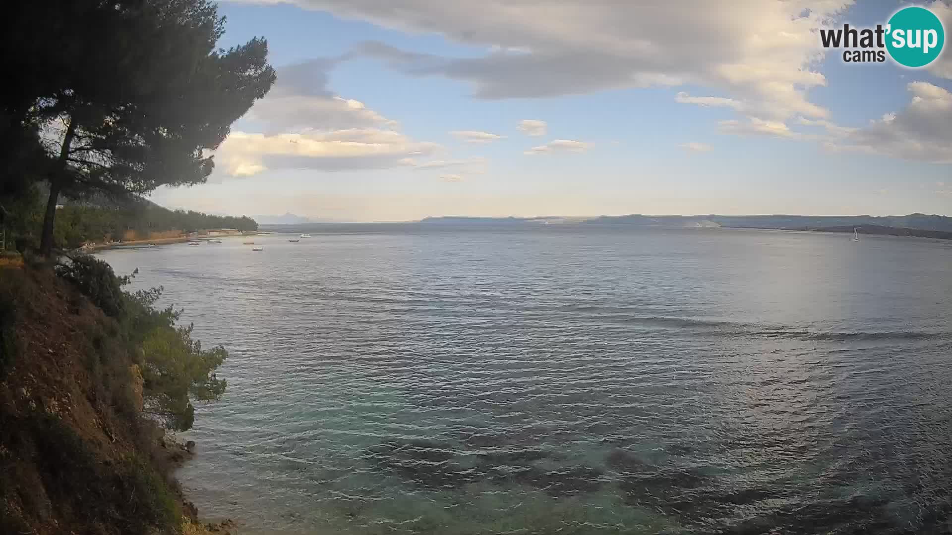 Webcam plage Potočine Bol – Vue en direct sur Borak Beach, île de Brač