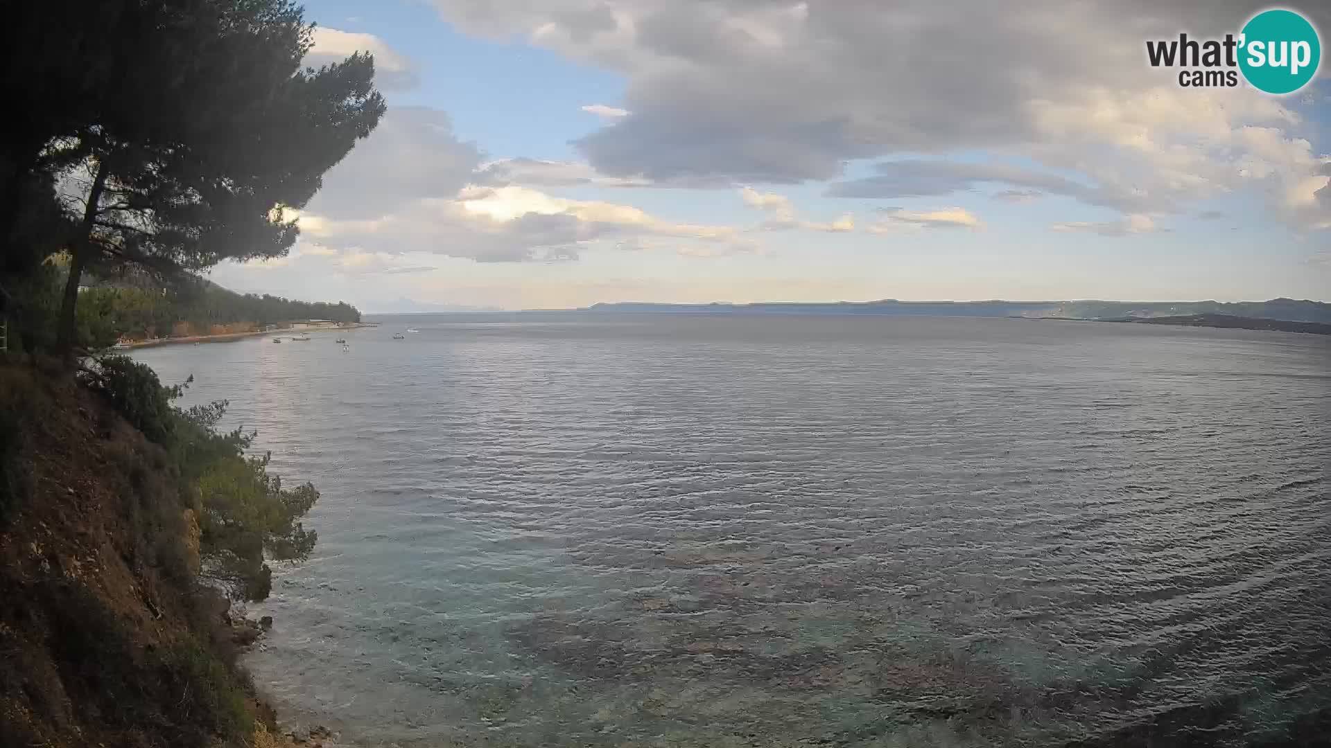 Webcam Potočine Beach Bol – Live View of Borak Beach, Brač Island
