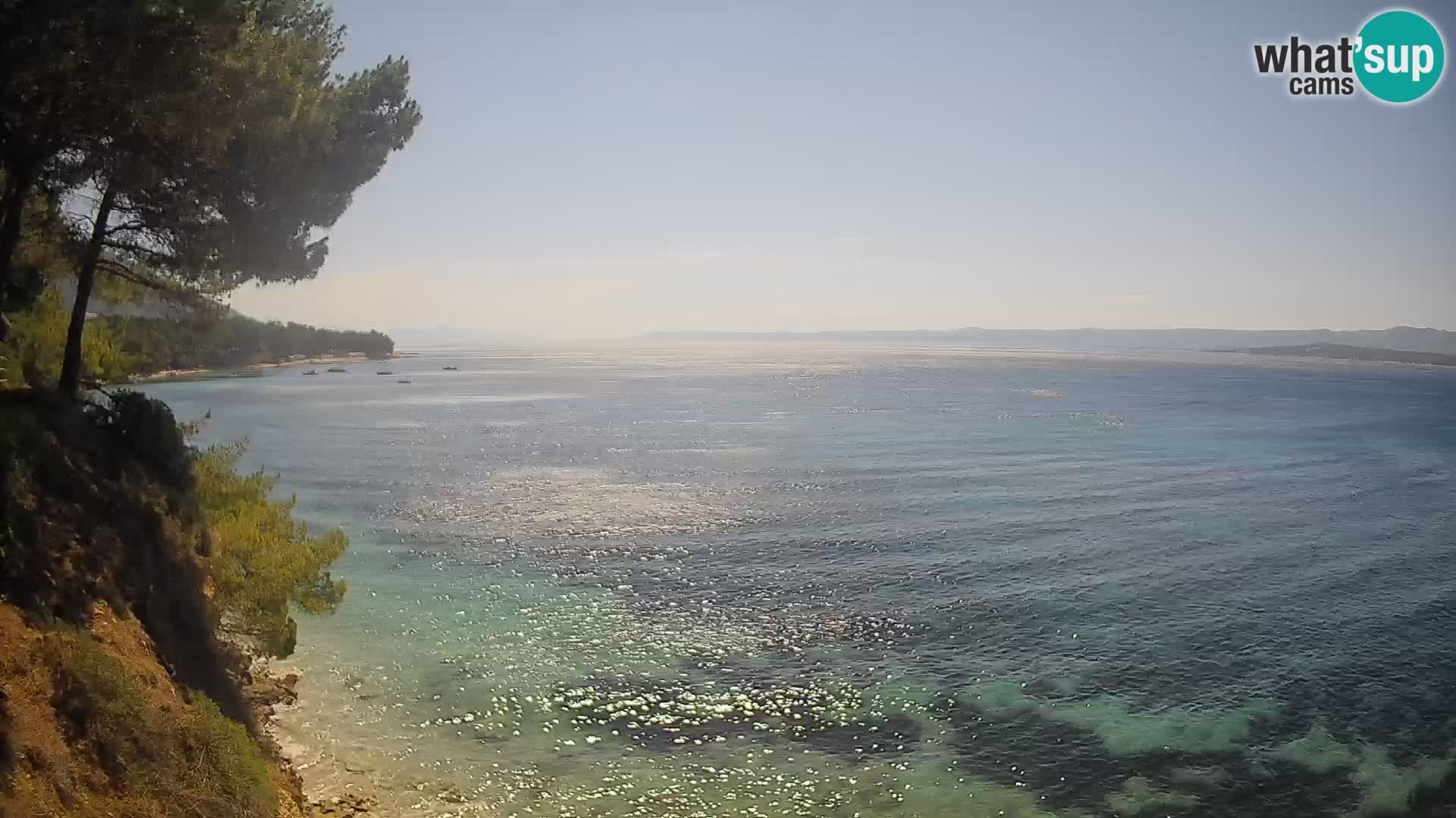 Spletna kamera Plaža Potočine Bol – Pogled v živo na plažo Borak, otok Brač