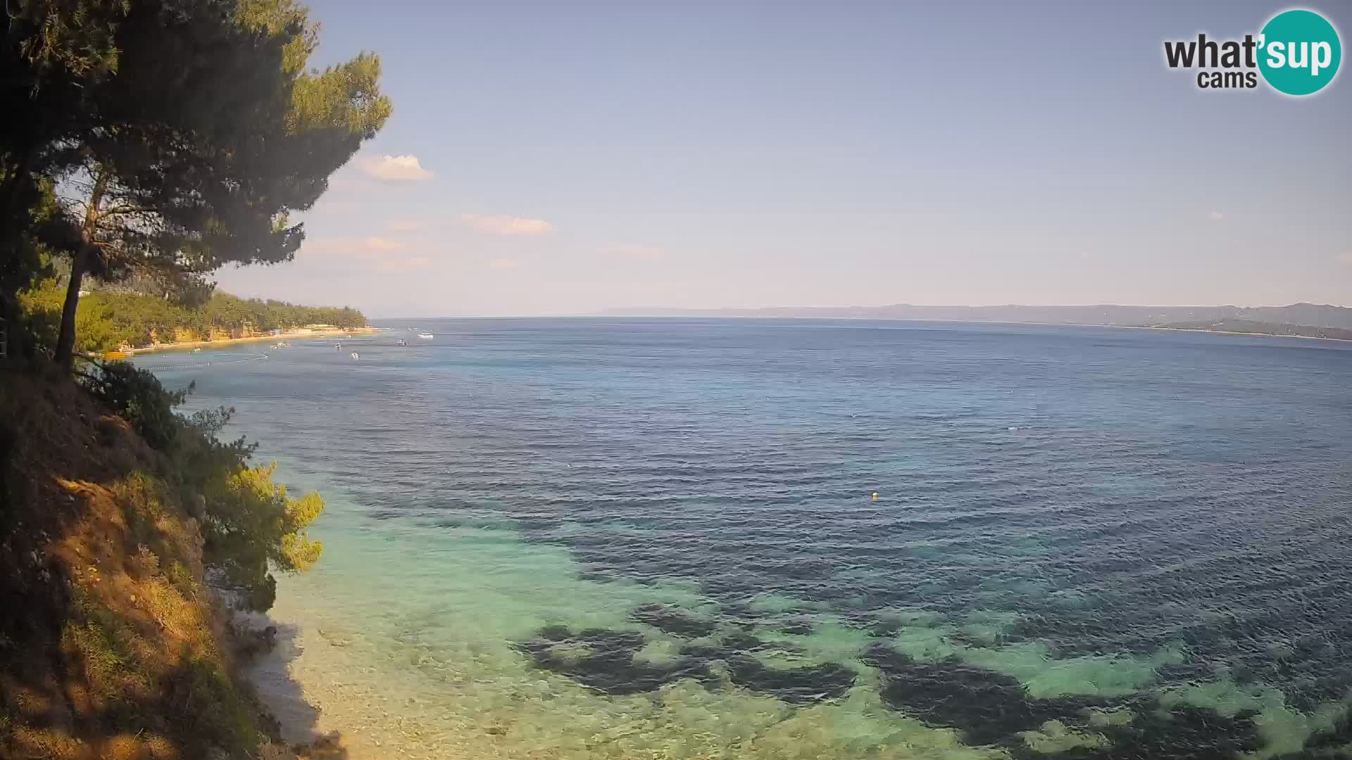 Webcam Potočine Beach Bol – Live View of Borak Beach, Brač Island