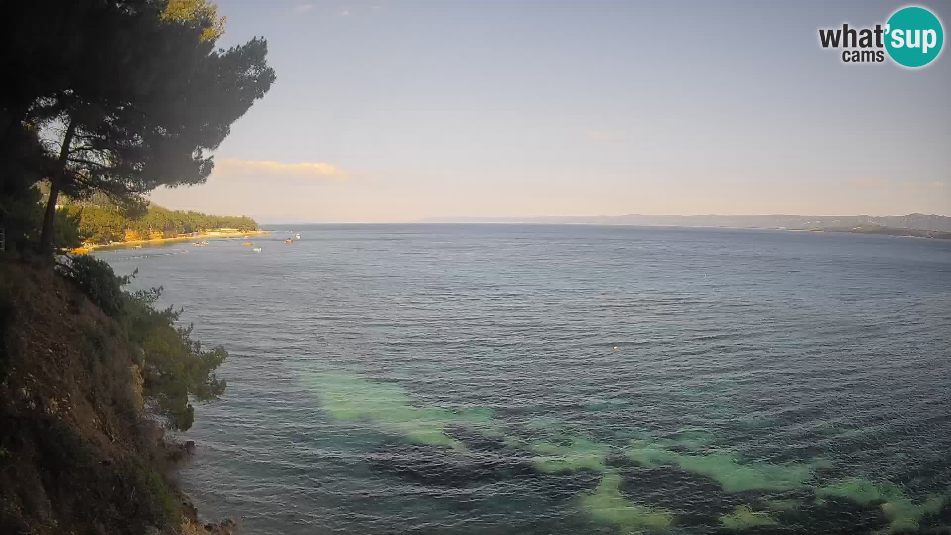 Webcam Potočine Beach Bol – Live View of Borak Beach, Brač Island