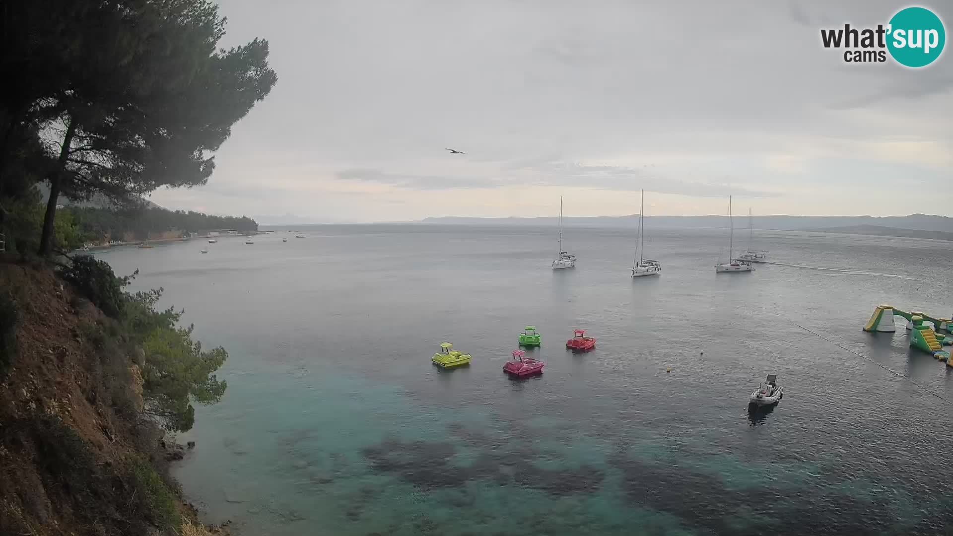 Webcam Spiaggia Potočine Bol – Vista live sulla spiaggia Borak, Isola di Brač