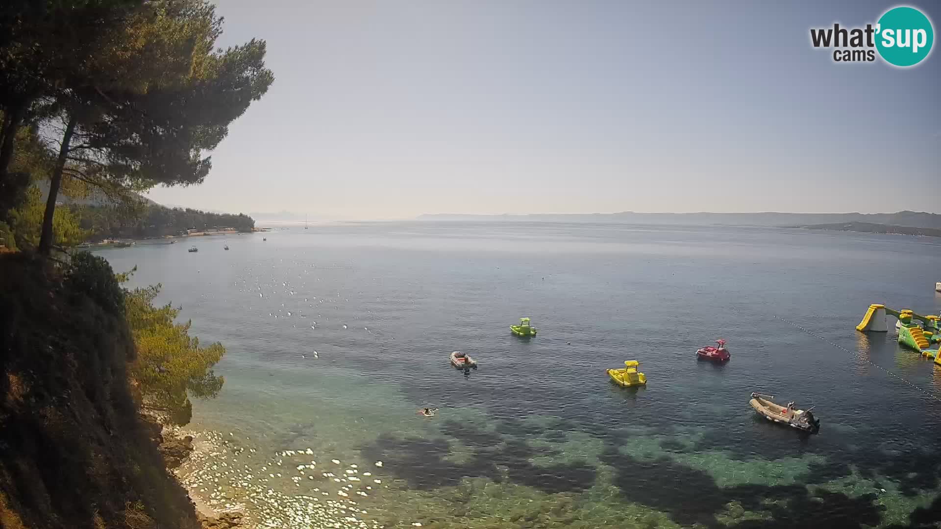 Webcam plage Potočine Bol – Vue en direct sur Borak Beach, île de Brač