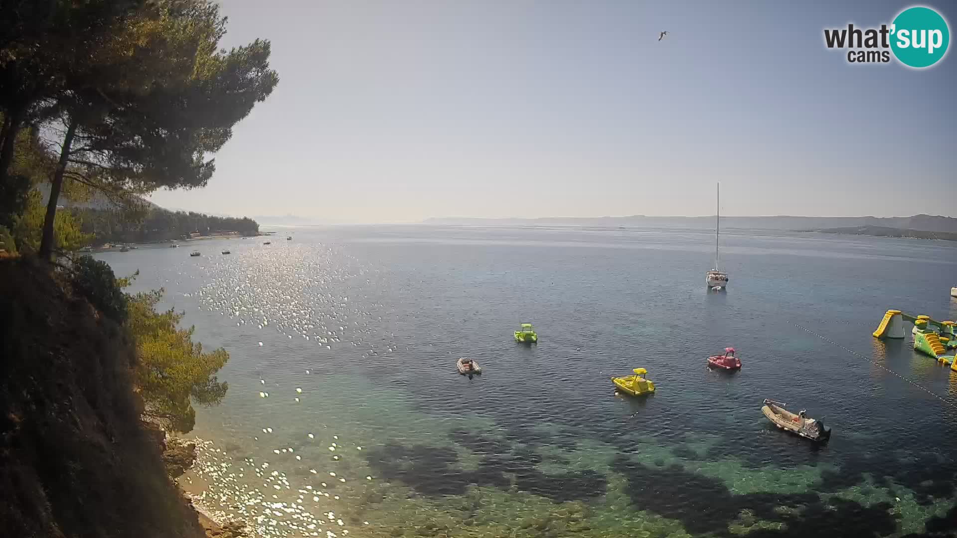 Webcam plage Potočine Bol – Vue en direct sur Borak Beach, île de Brač