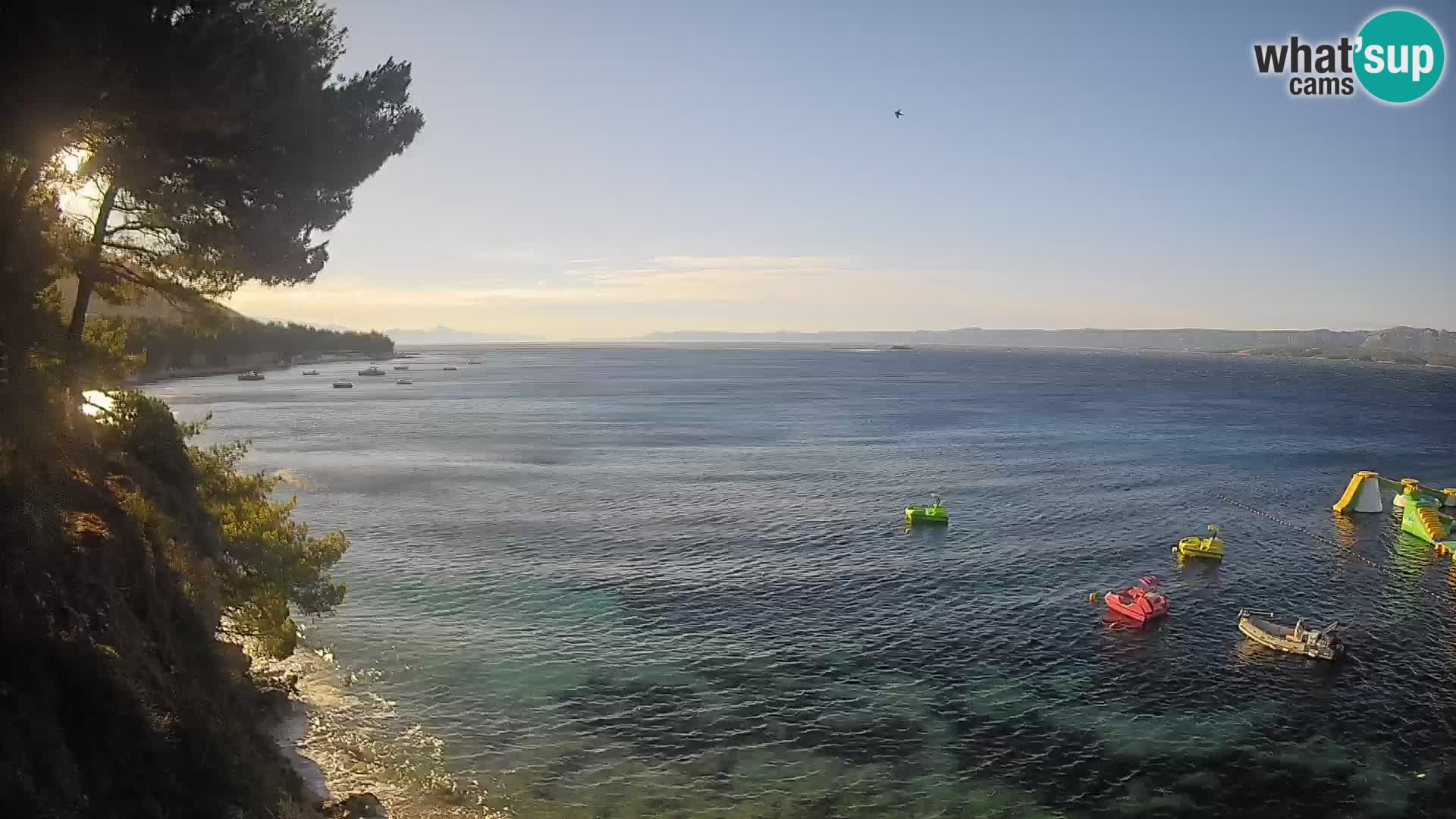 Webcam Potočine Beach Bol – Live View of Borak Beach, Brač Island