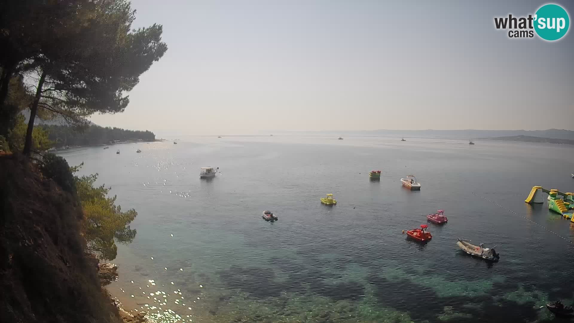 Webcam plage Potočine Bol – Vue en direct sur Borak Beach, île de Brač