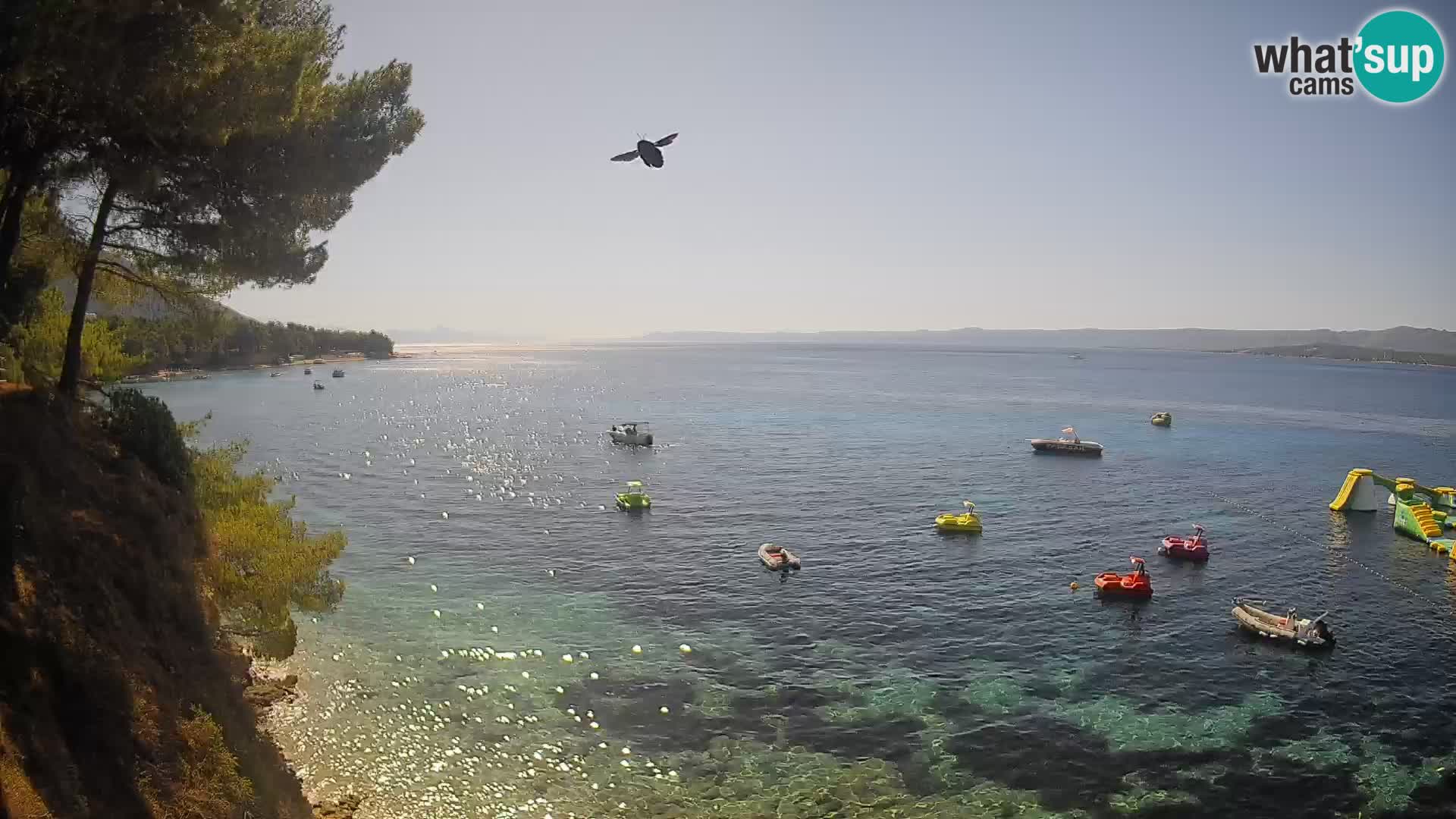 Webcam Spiaggia Potočine Bol – Vista live sulla spiaggia Borak, Isola di Brač
