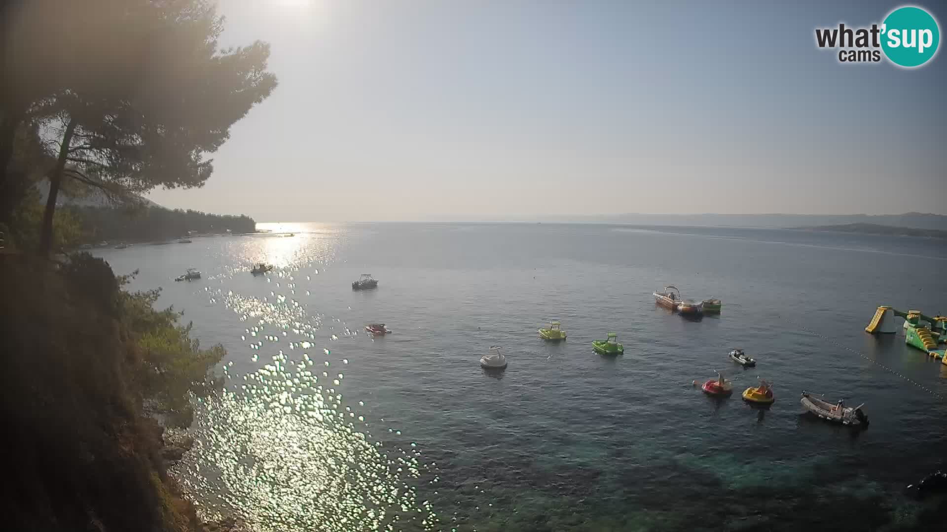 Webcam Potočine Beach Bol – Live View of Borak Beach, Brač Island