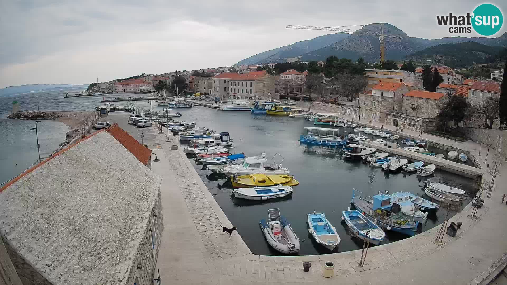 Webcam Bol Harbour – Live View of Bol Riva & Marina