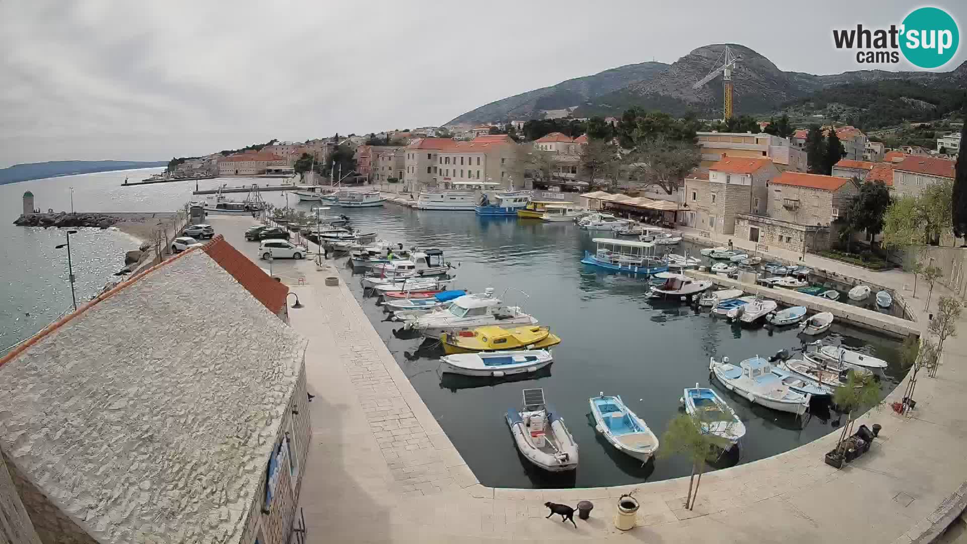 Webcam porto di Bol – Vista live sulla Riva e Marina