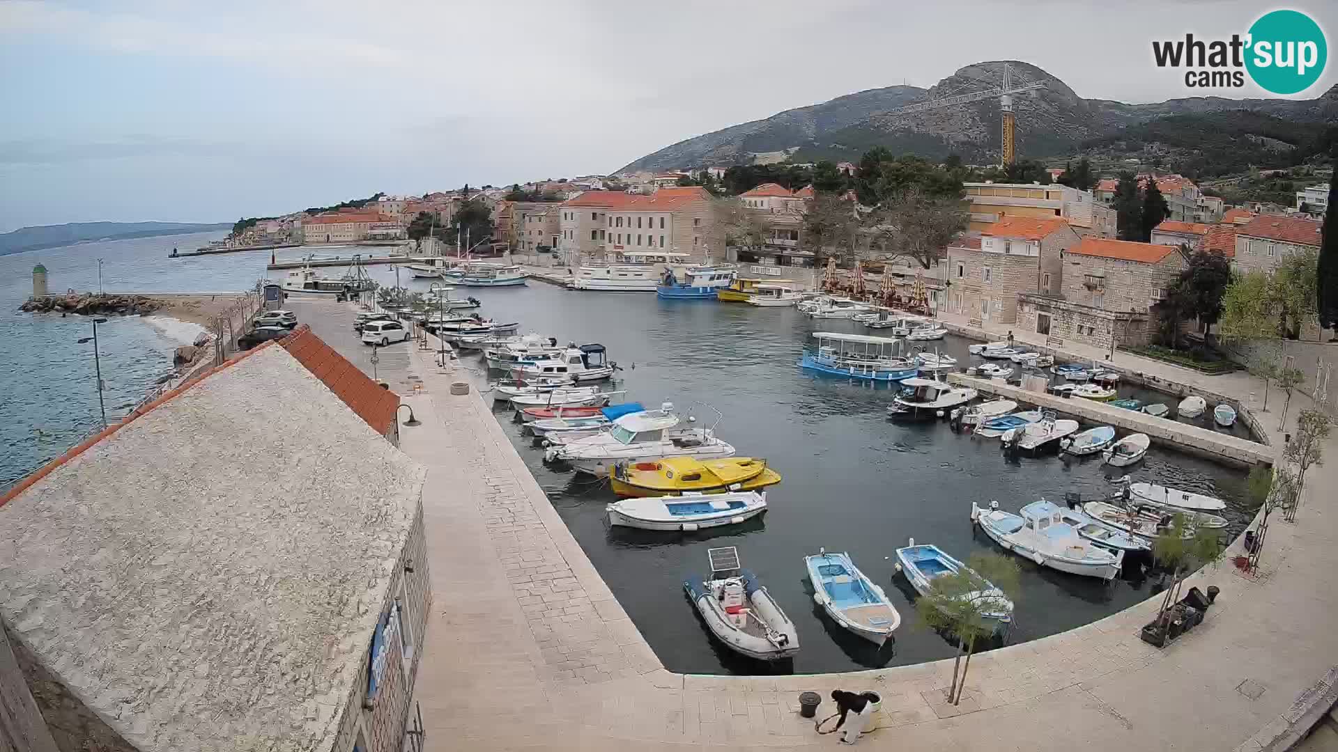 Webcam Puerto de Bol – Vista en directo de la Riva y Marina