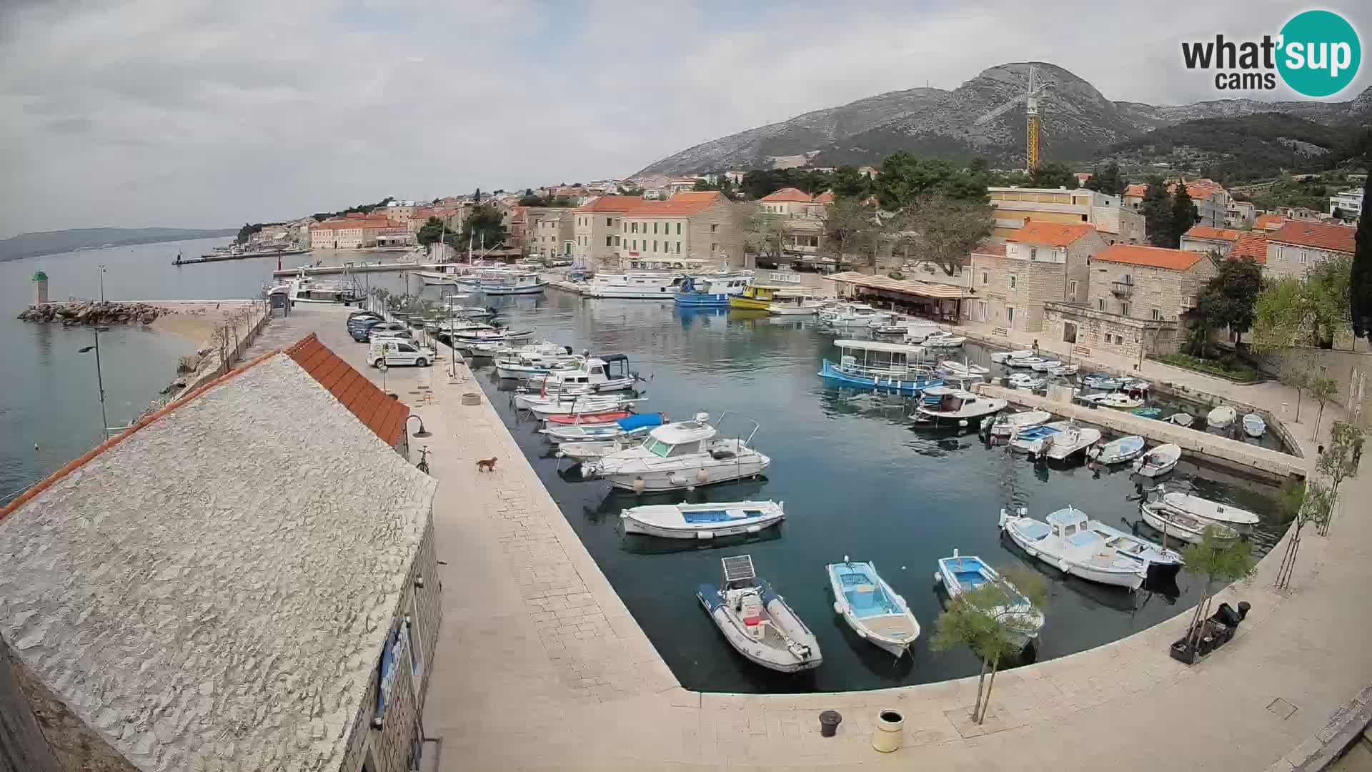 Web kamera Bol Riva – Pogled uživo na luku i marinu