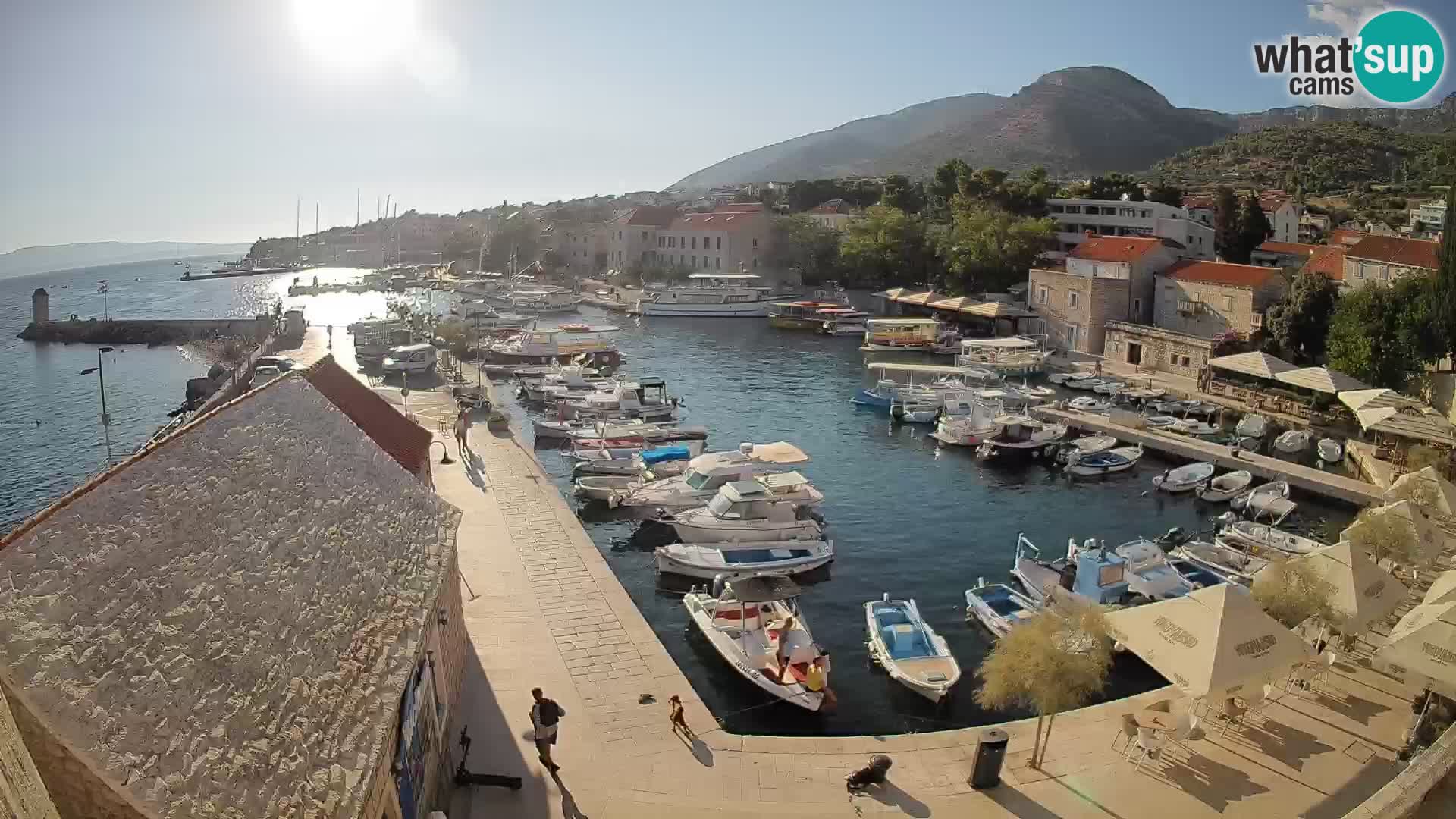 Webcam Puerto de Bol – Vista en directo de la Riva y Marina