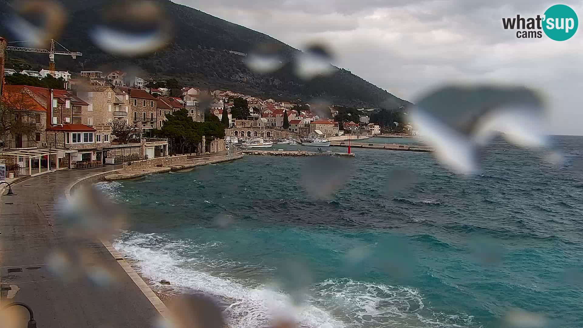 Web kamera Bol – Centar mjesta i marina | Pogled uživo