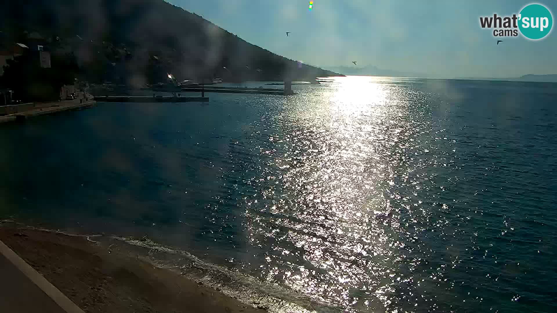 Spletna kamera Bol – Center mesta in marina v živo