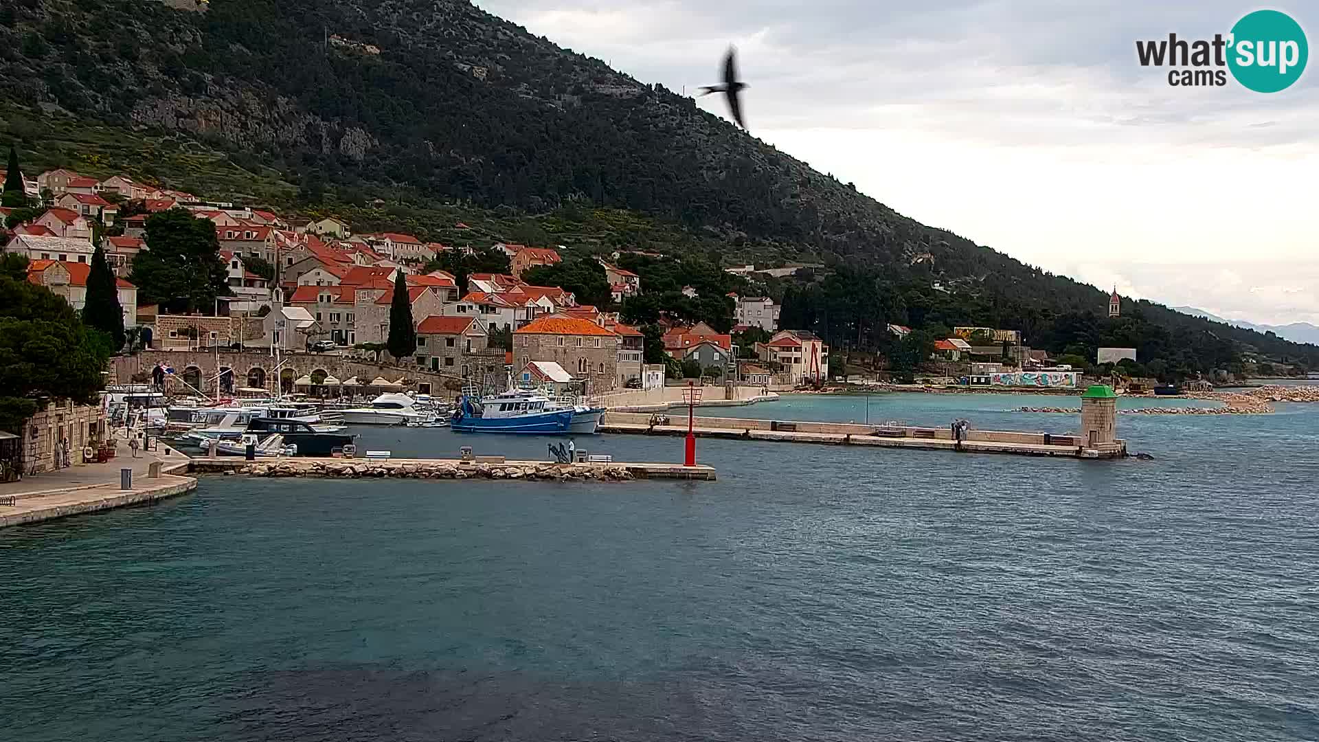 Webcam Bol centre-ville & marina – Vue en direct depuis Bol, île de Brač