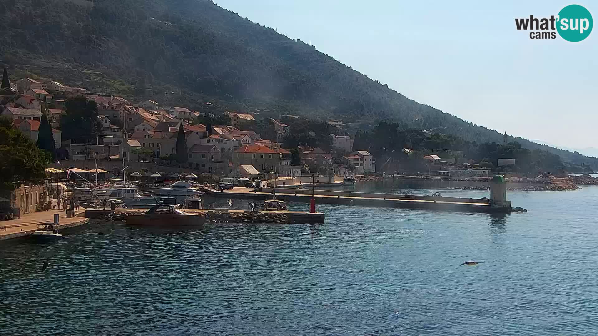 Webcam Bol centre-ville & marina – Vue en direct depuis Bol, île de Brač