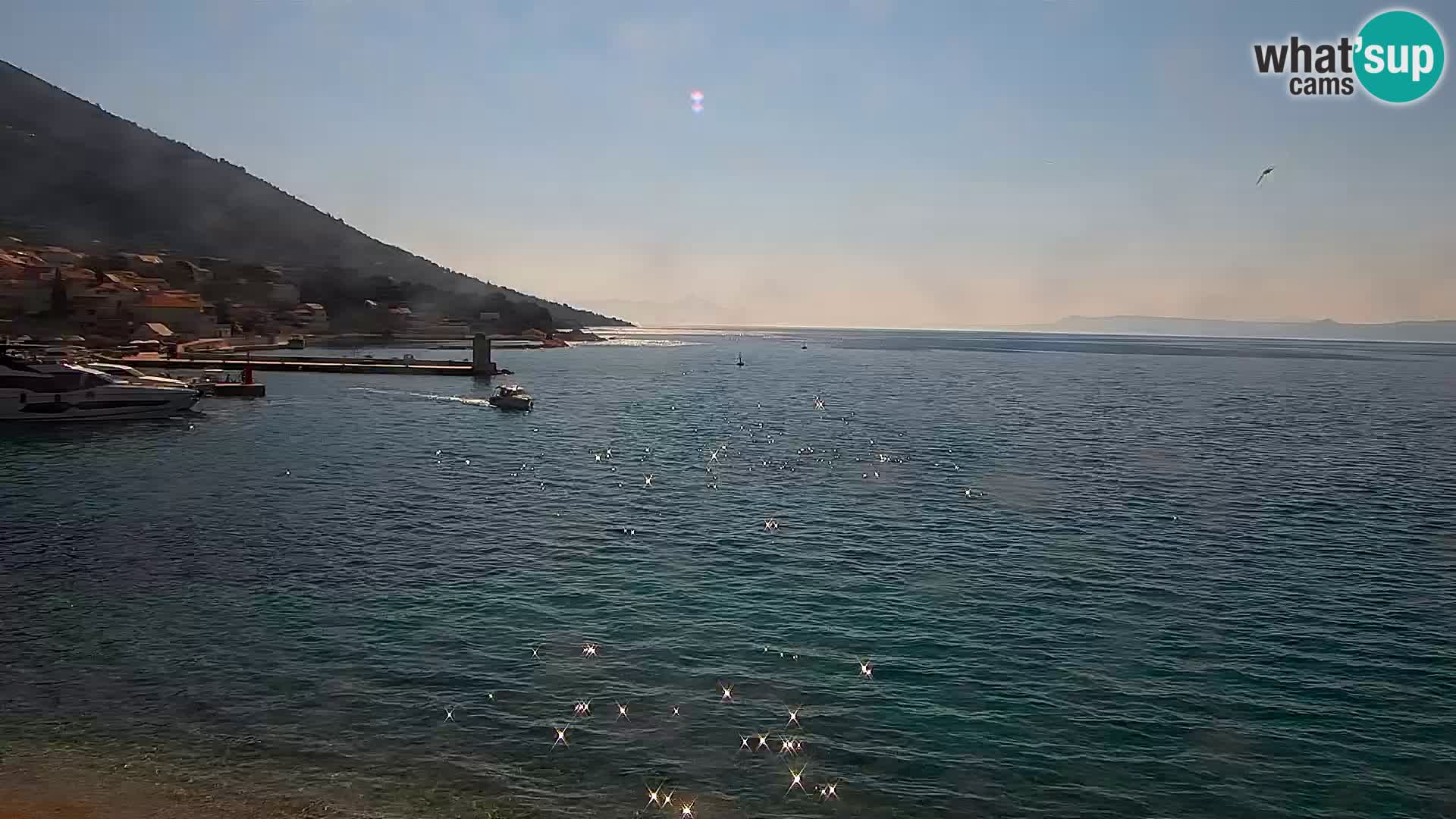 Web kamera Bol – Centar mjesta i marina | Pogled uživo