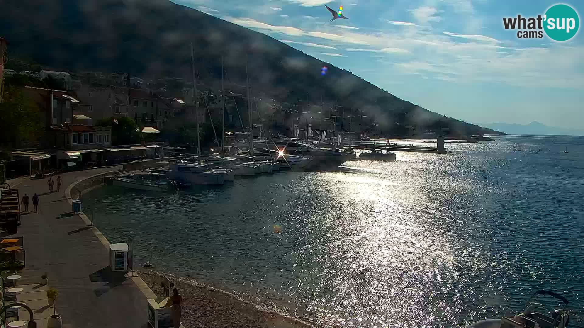 Spletna kamera Bol – Center mesta in marina v živo