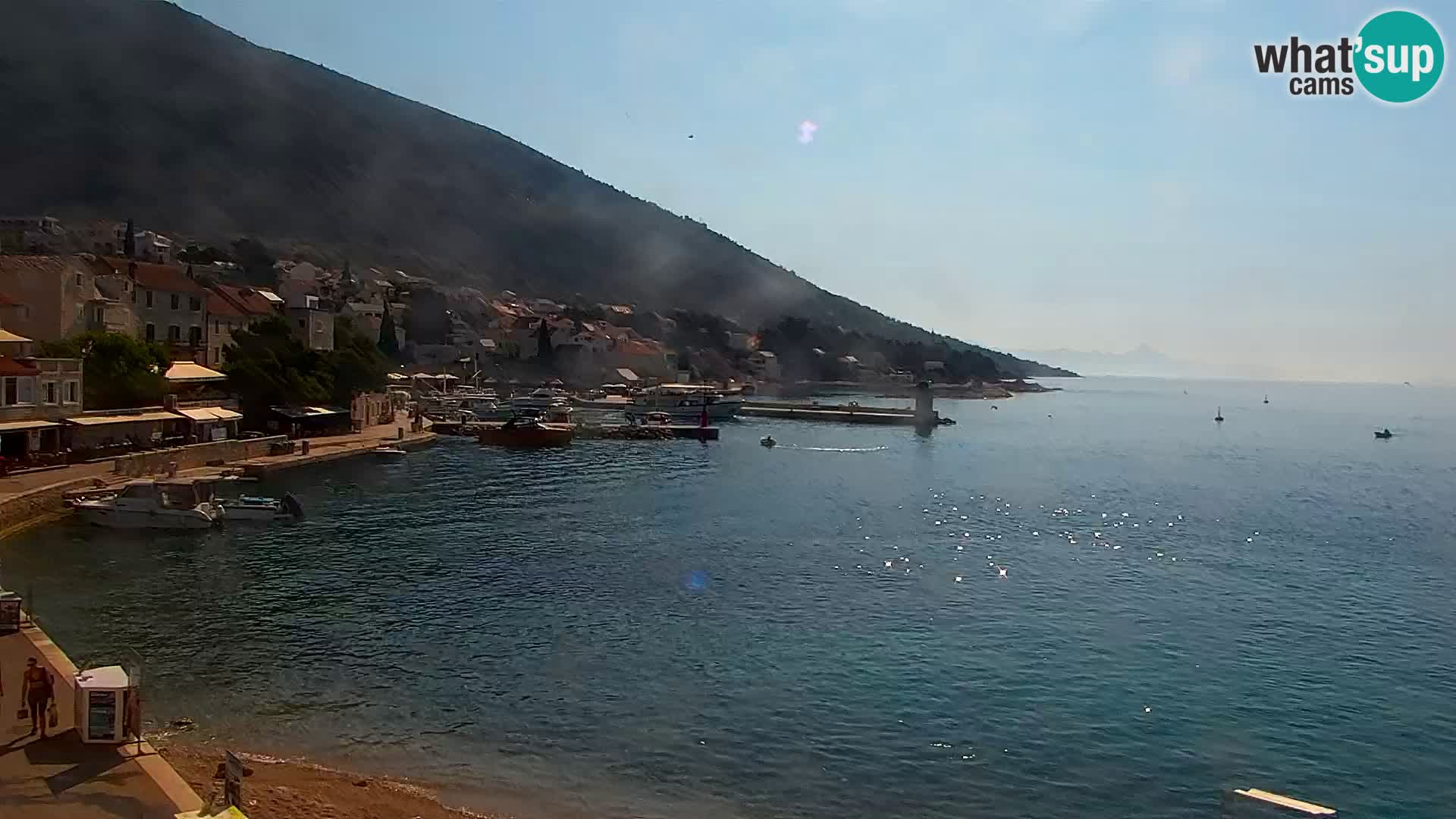 Webcam Bol centre-ville & marina – Vue en direct depuis Bol, île de Brač