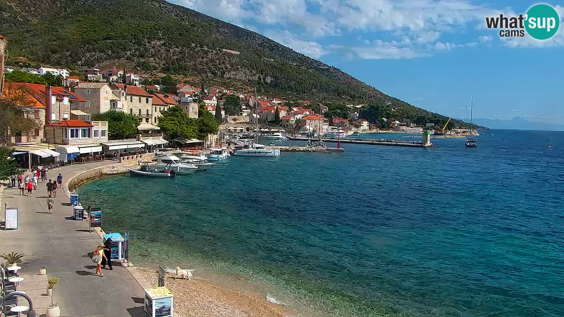 Webcam Bol Town Center & Marina – Live View from Bol, Brač