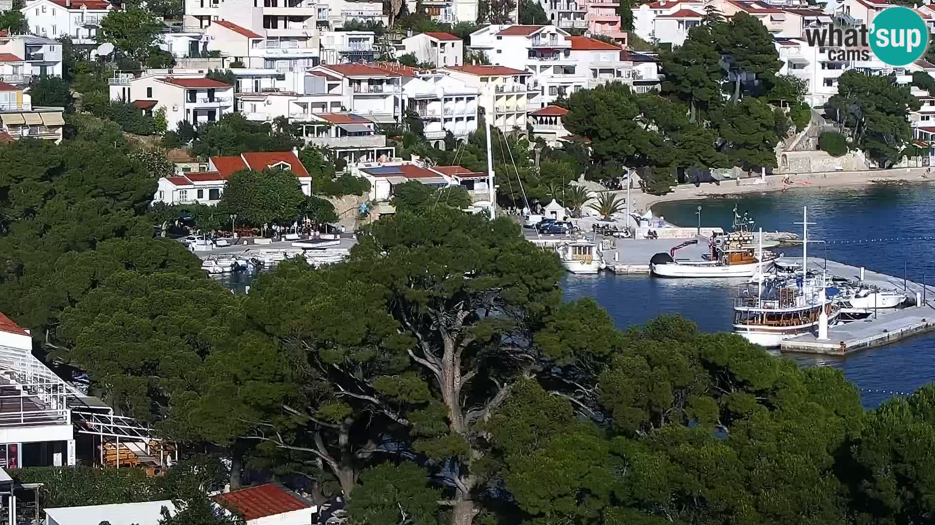 Kamera v živo Brela – Panorama