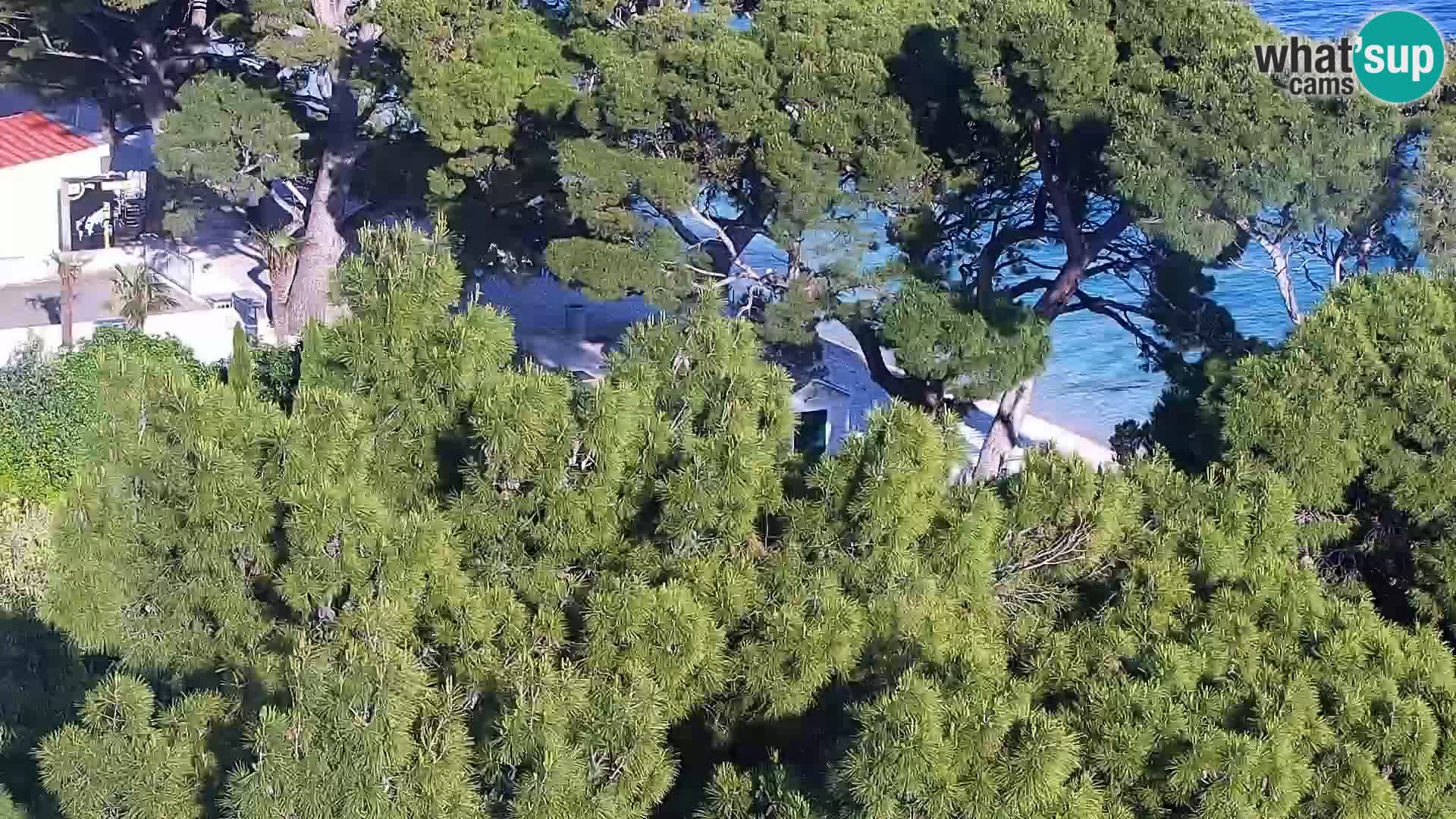 Live webcam Brela – Panorama