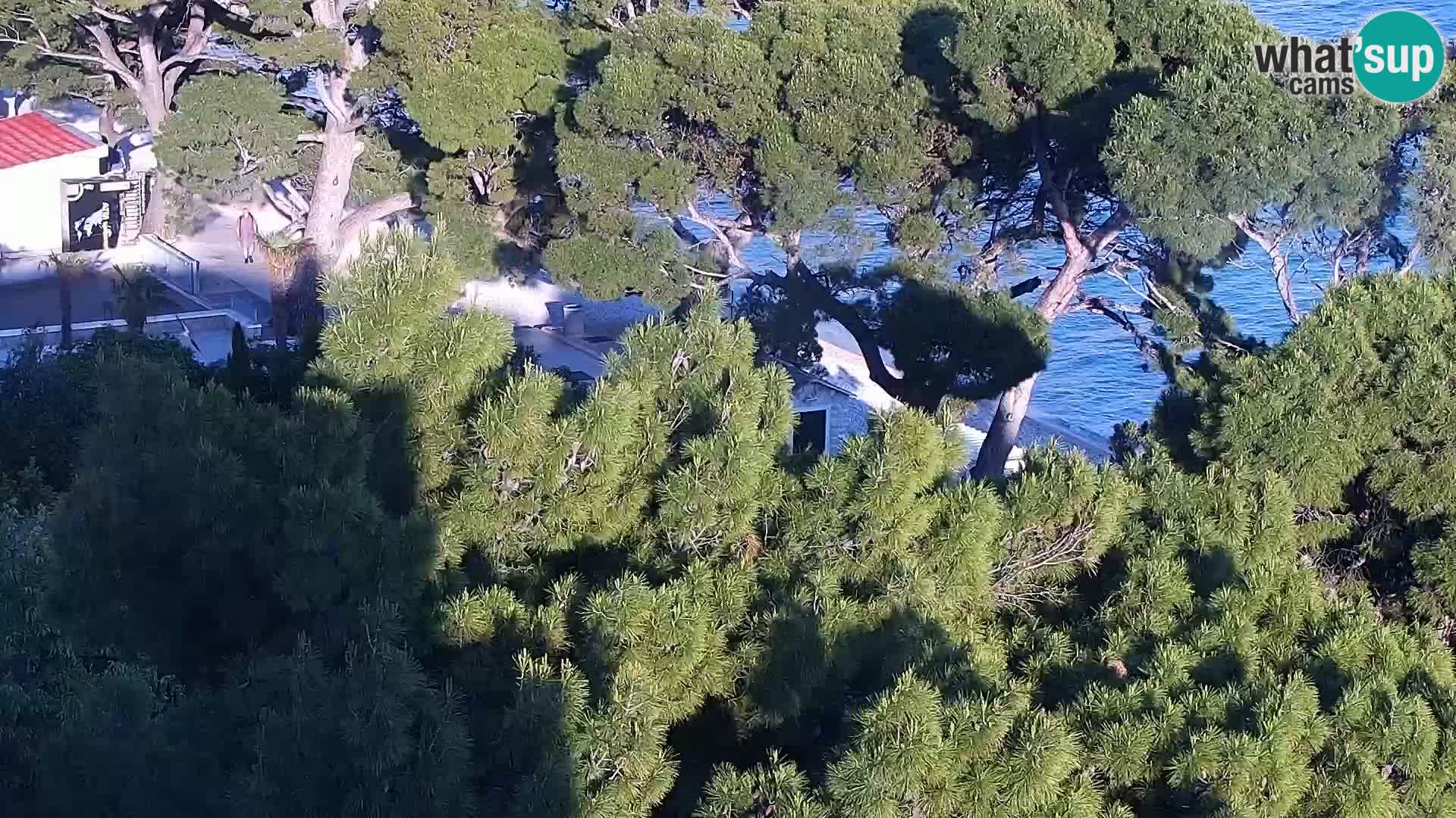 Live webcam Brela – Panorama