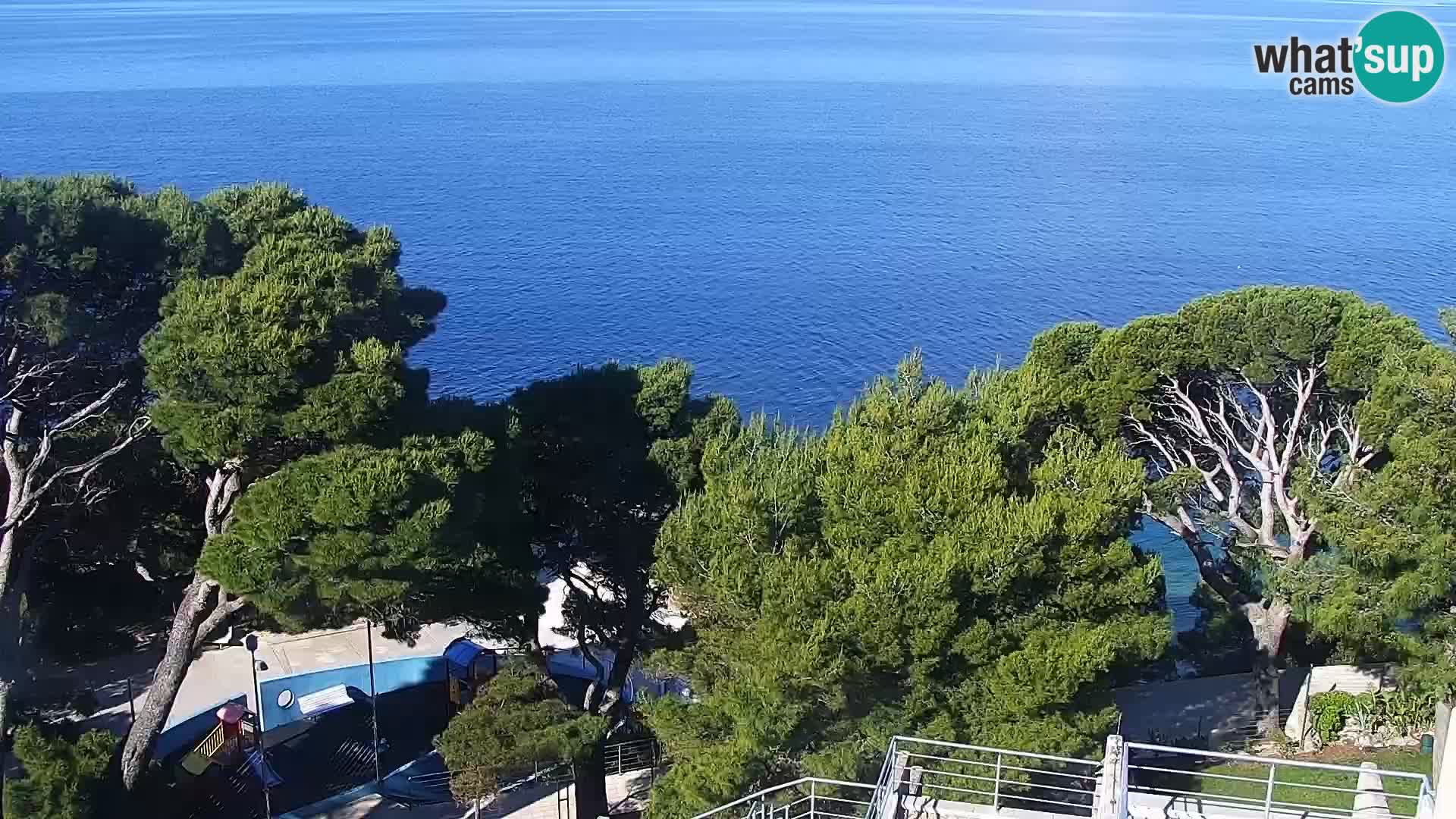 Live webcam Brela – Panorama