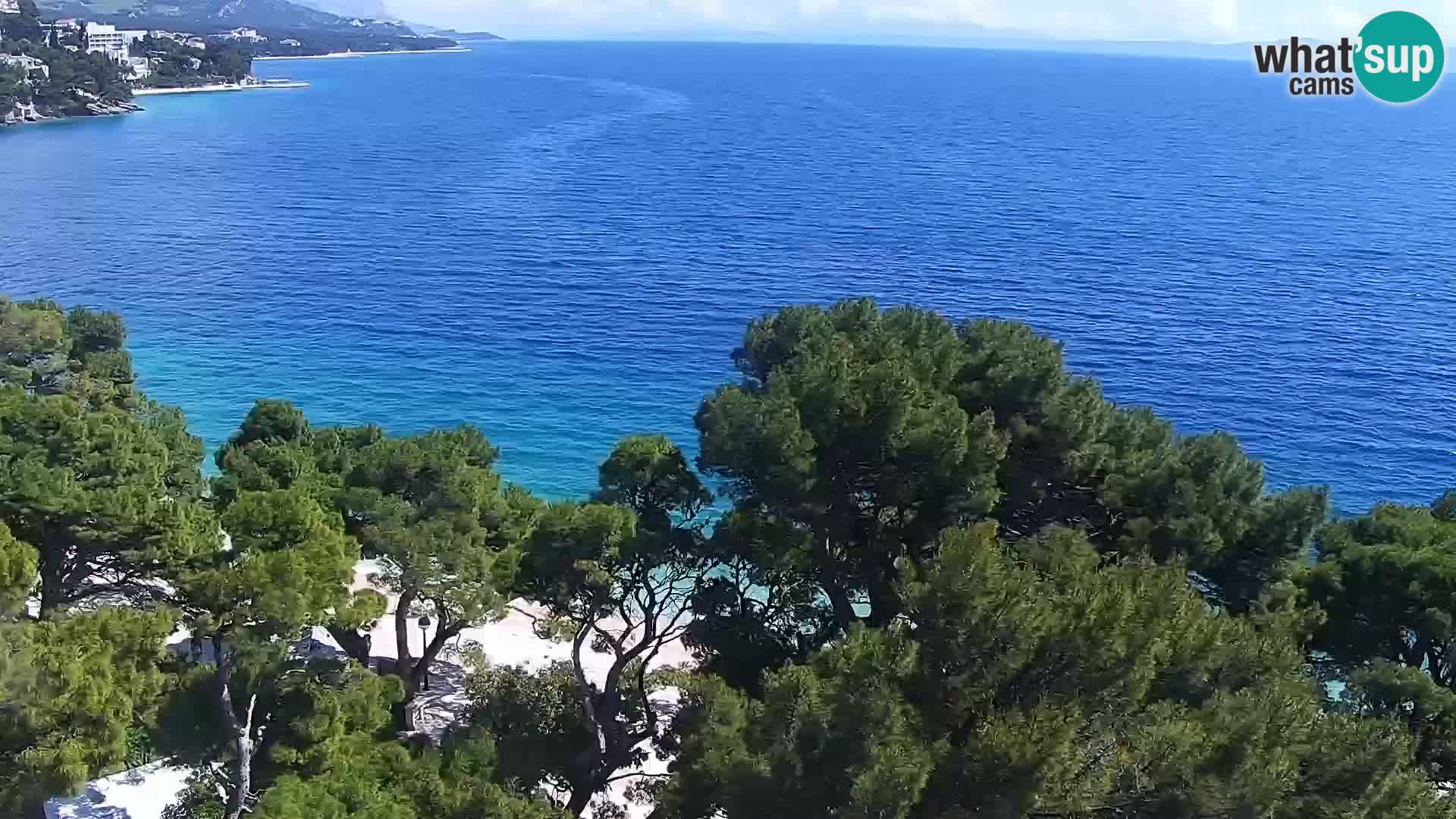 Okretna web kamera Brela – Panorama